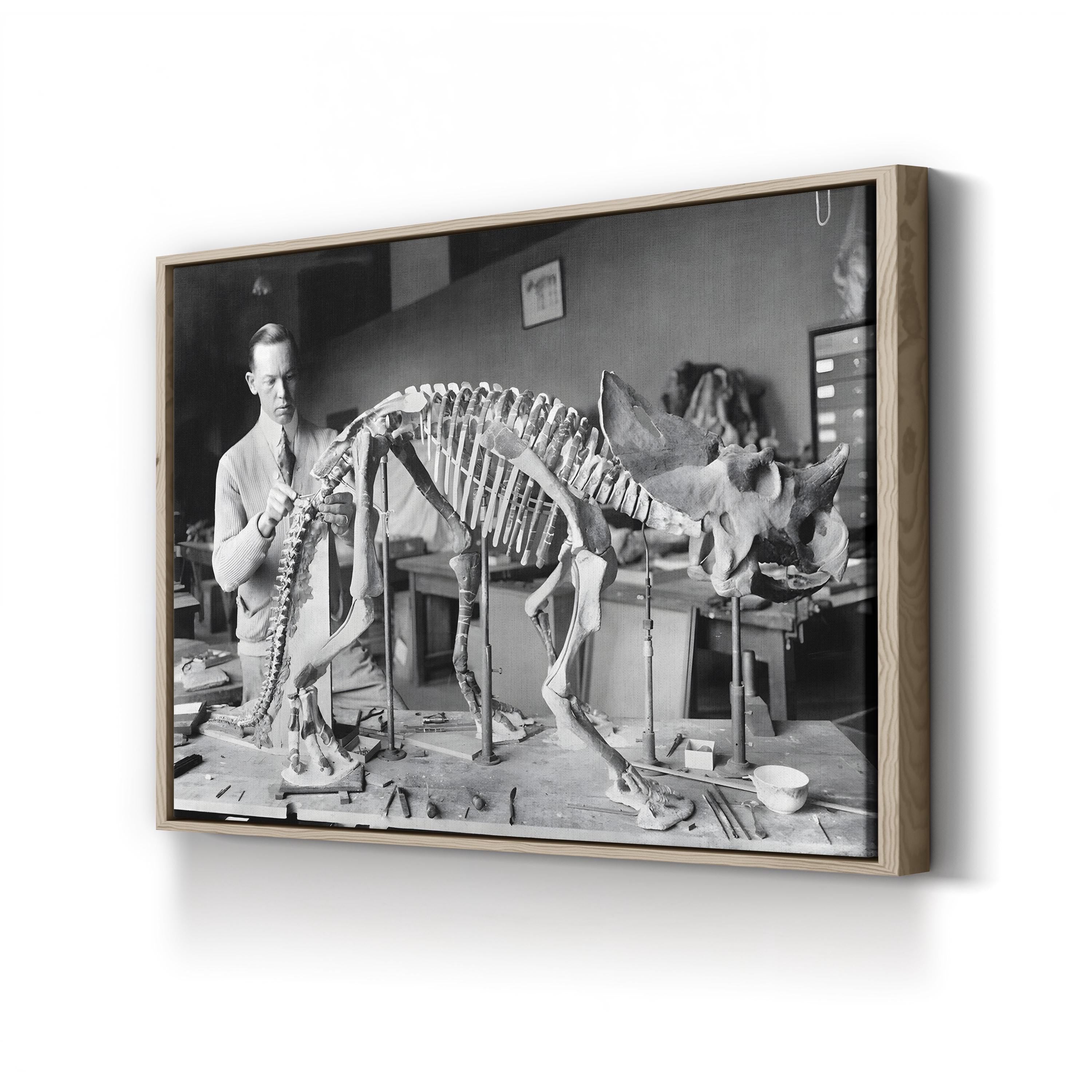 Mounted Brachyceratops Skeleton, 1921 by National Photo Company canvas print in an oak frame