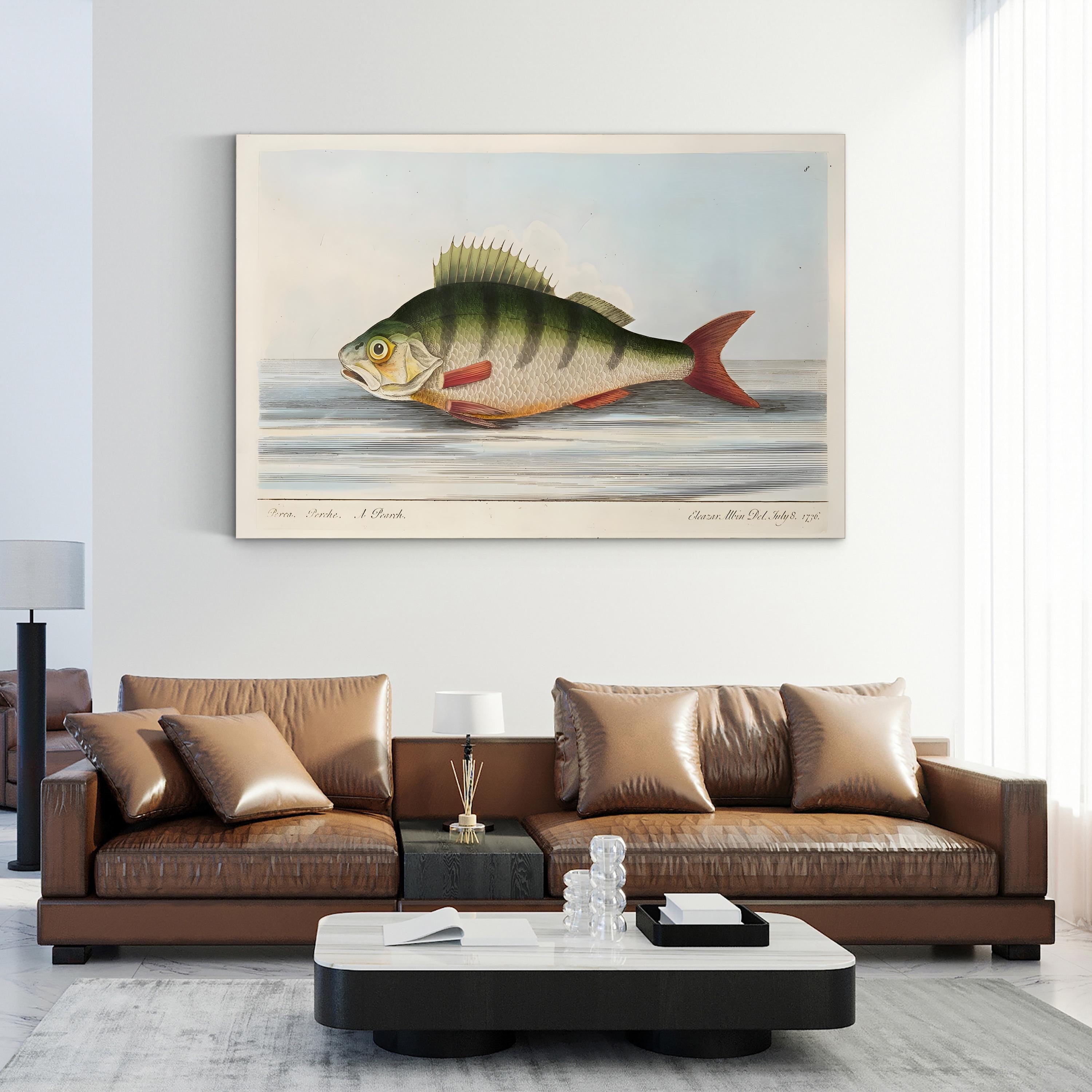 The Perch, 1832 | Antique Natural History Fish Engraving Wall Art by Eleazar Albin
