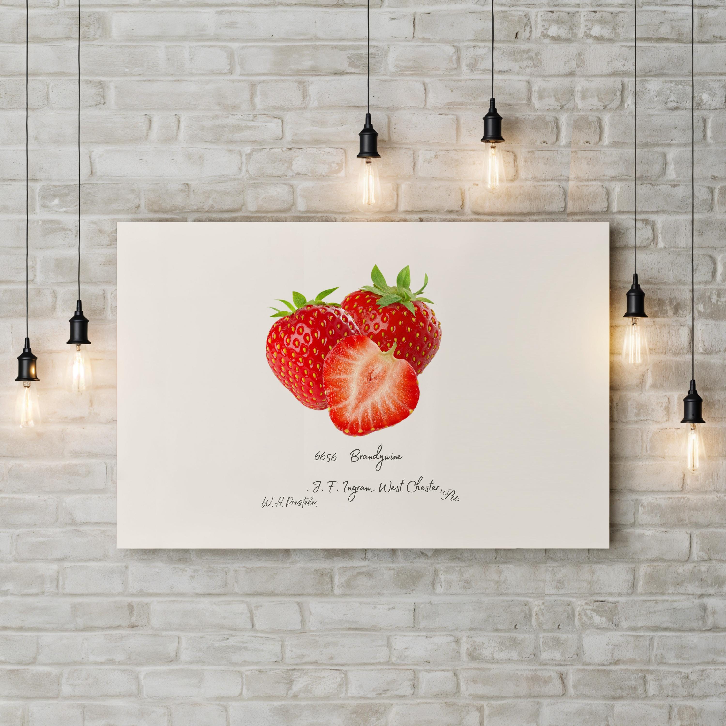Strawberry Kitchen Wall Art – Vintage Botanical Fruit Illustration Canvas Print