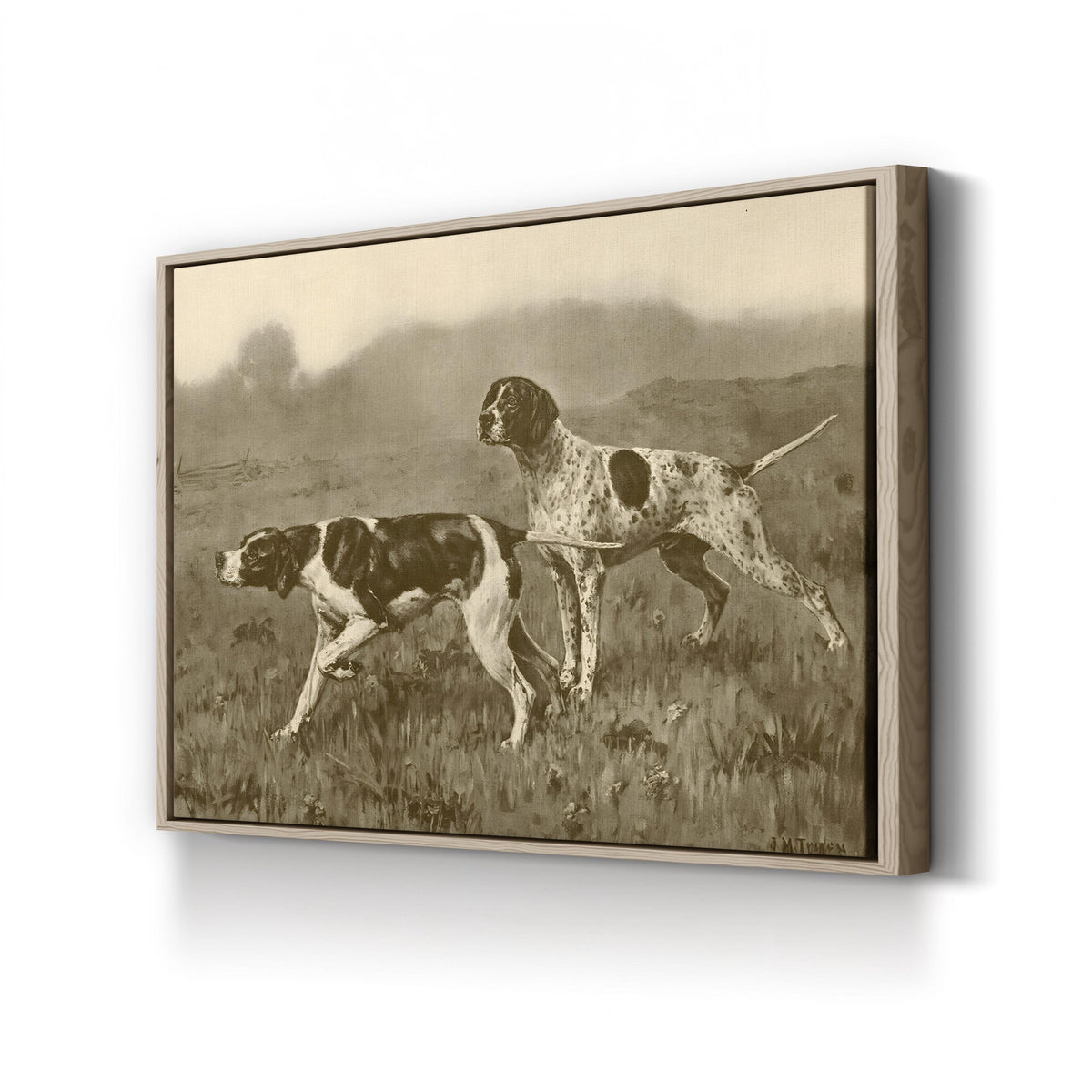 Double Point, by John Martin Tracy canvas print in Oak Framed Canvas