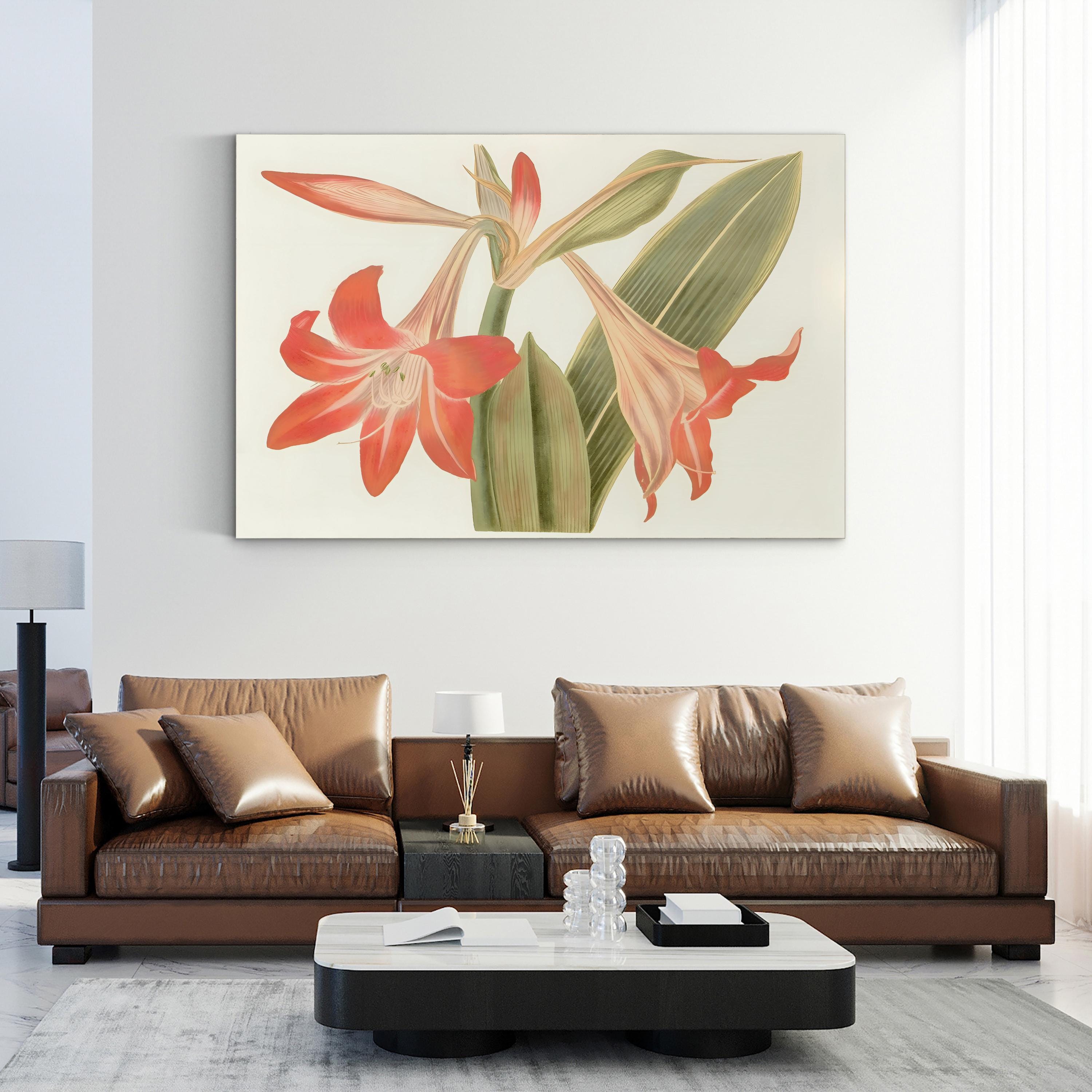 Antique Amaryllis IV Wall Art by Curtis Art – Vintage Botanical Illustration Print