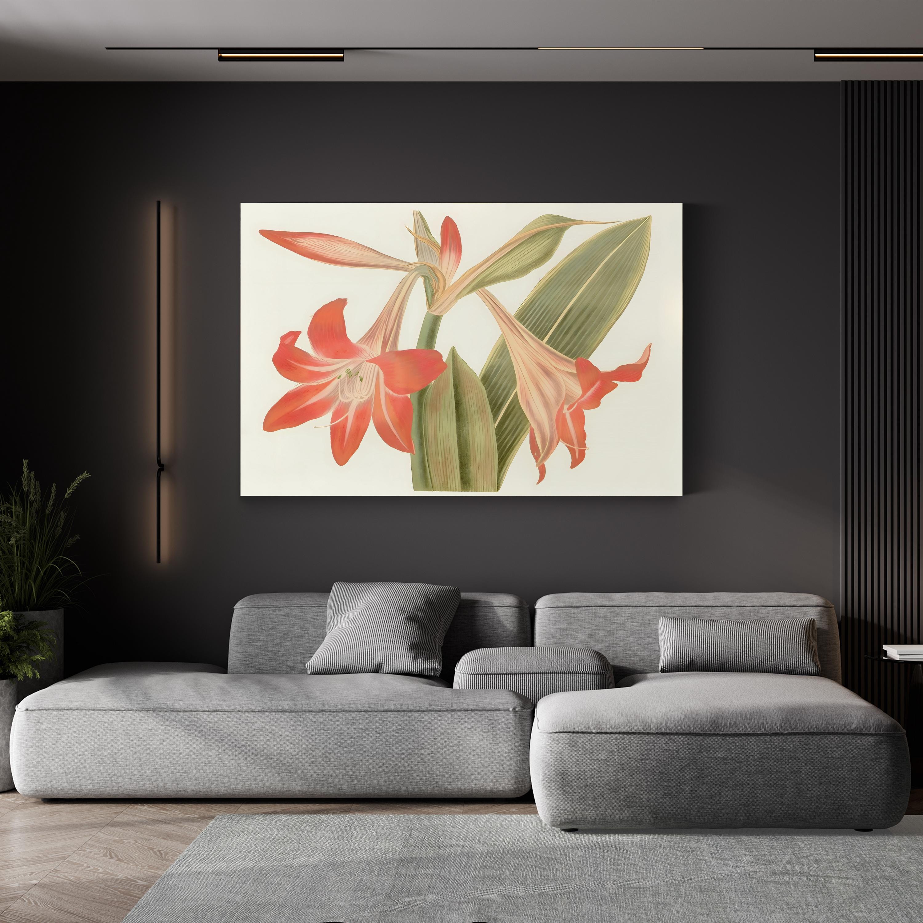 Antique Amaryllis IV Wall Art by Curtis Art – Vintage Botanical Illustration Print