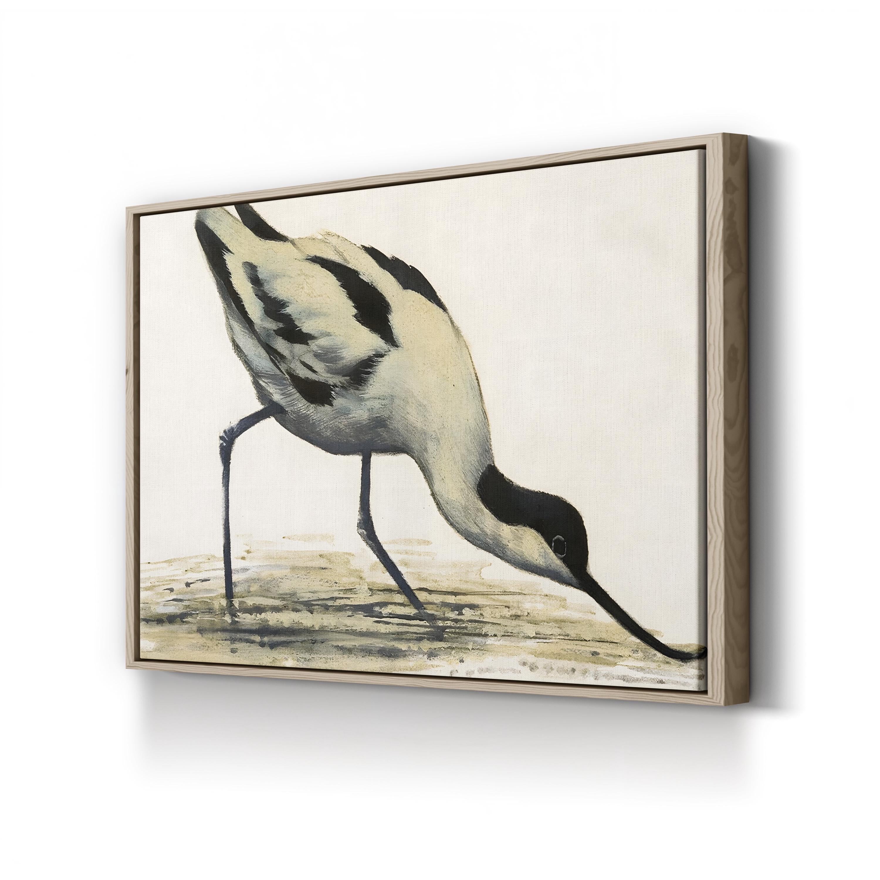 Vintage Avocet Bird Print: Black and White Shorebird Illustration