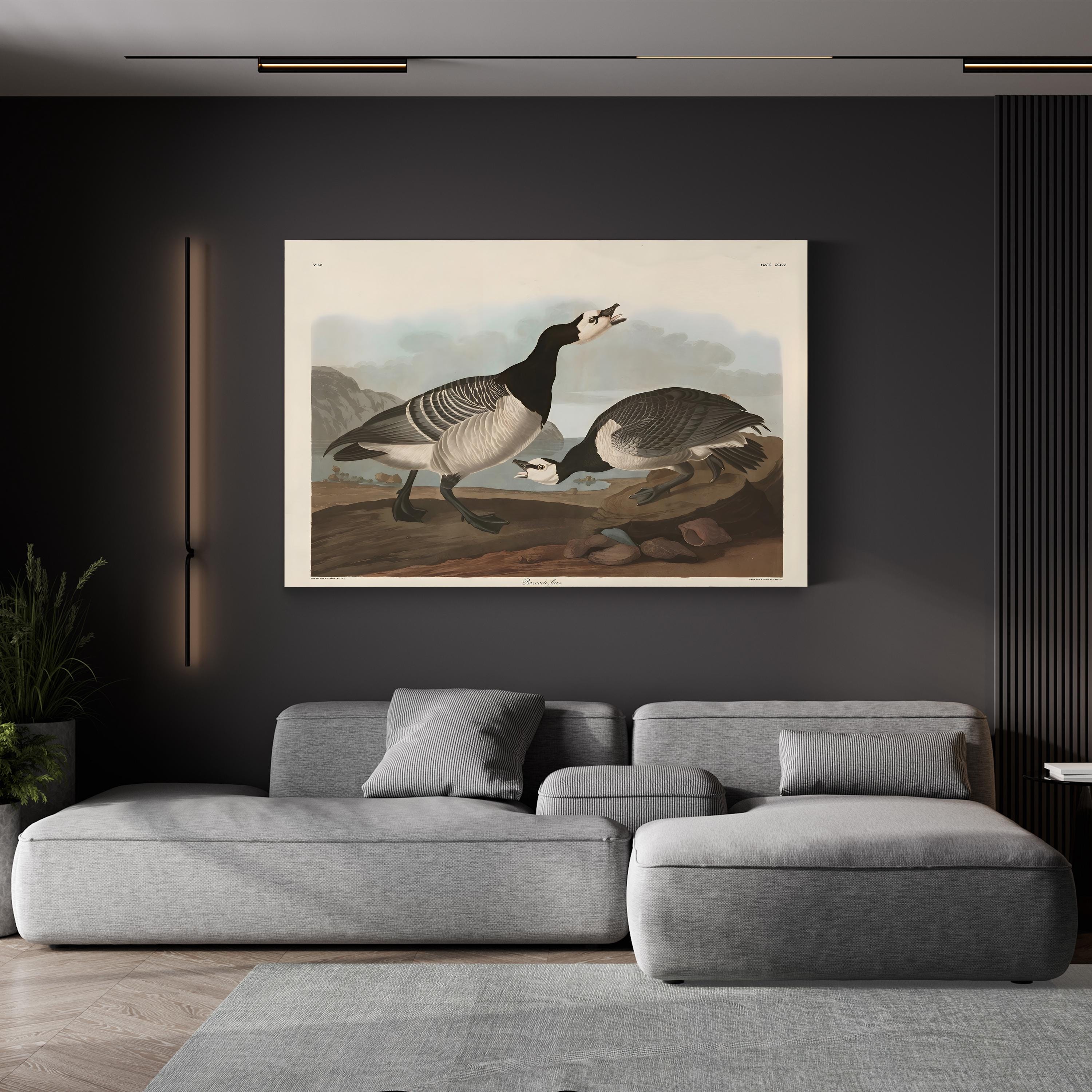 Barnacle Goose Bird Illustration Wall Art by John James Audubon
