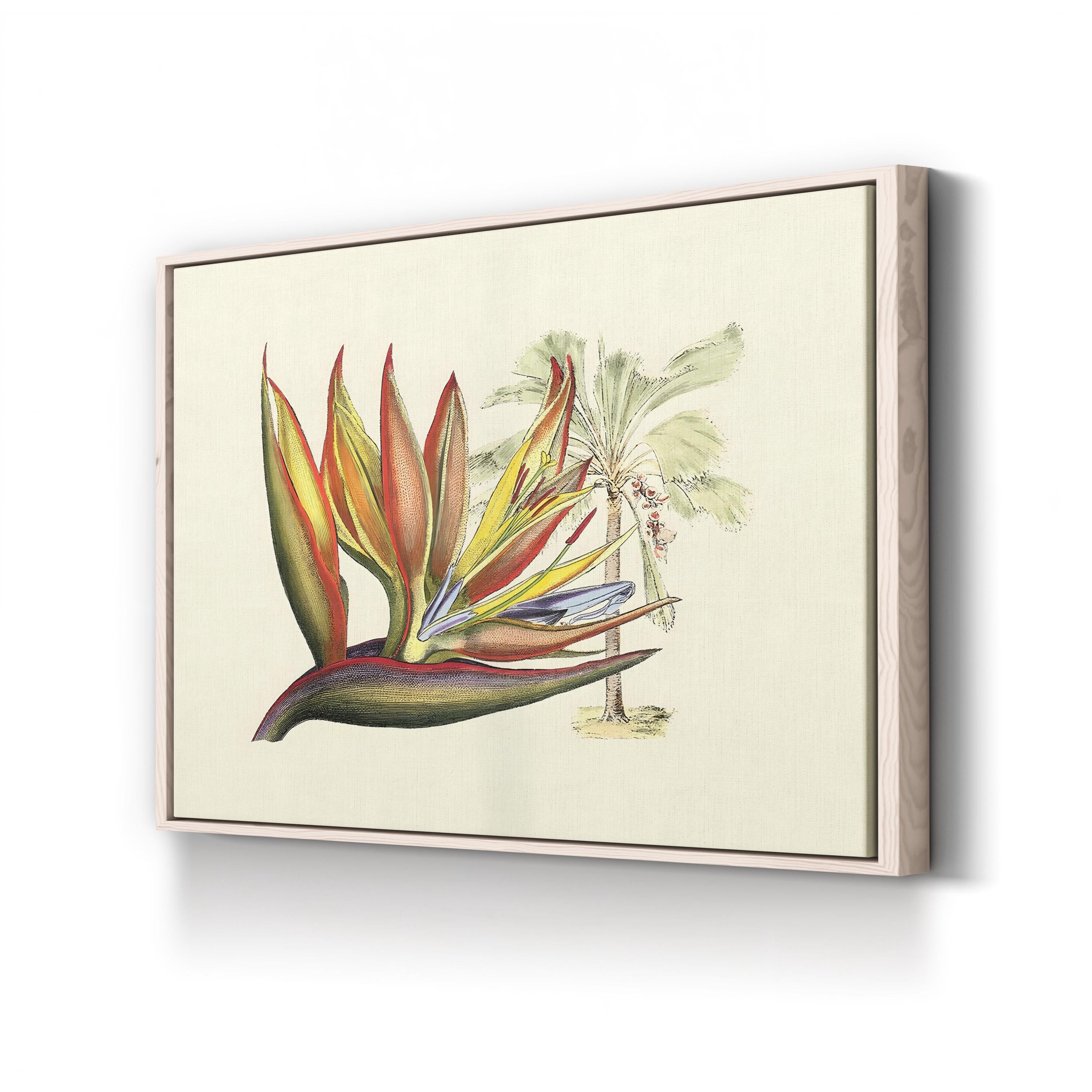 Vintage Bird of Paradise Print: Tropical Botanical Illustration