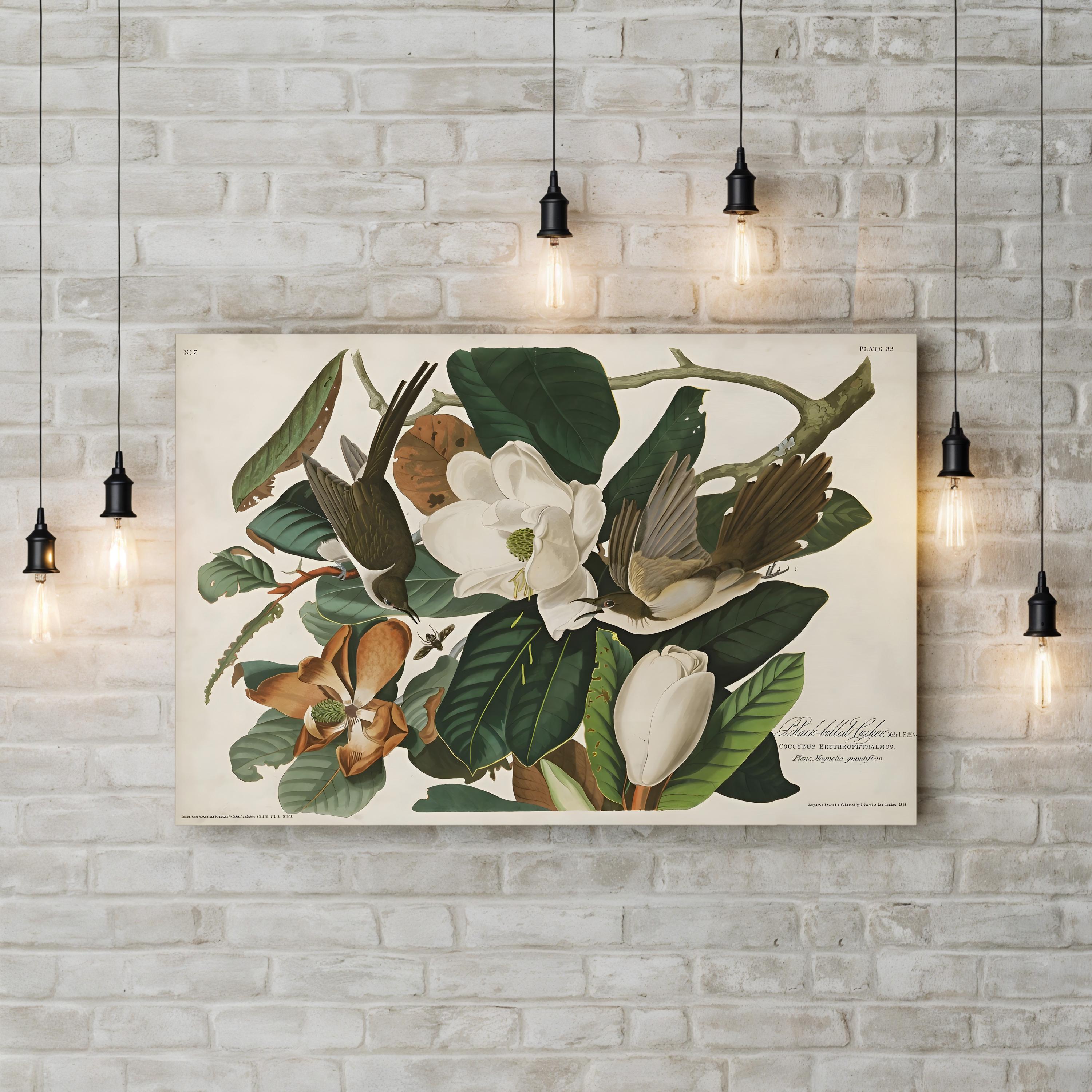 Magnolia & Cuckoo – John James Audubon Wall Art | Botanical Canvas Print