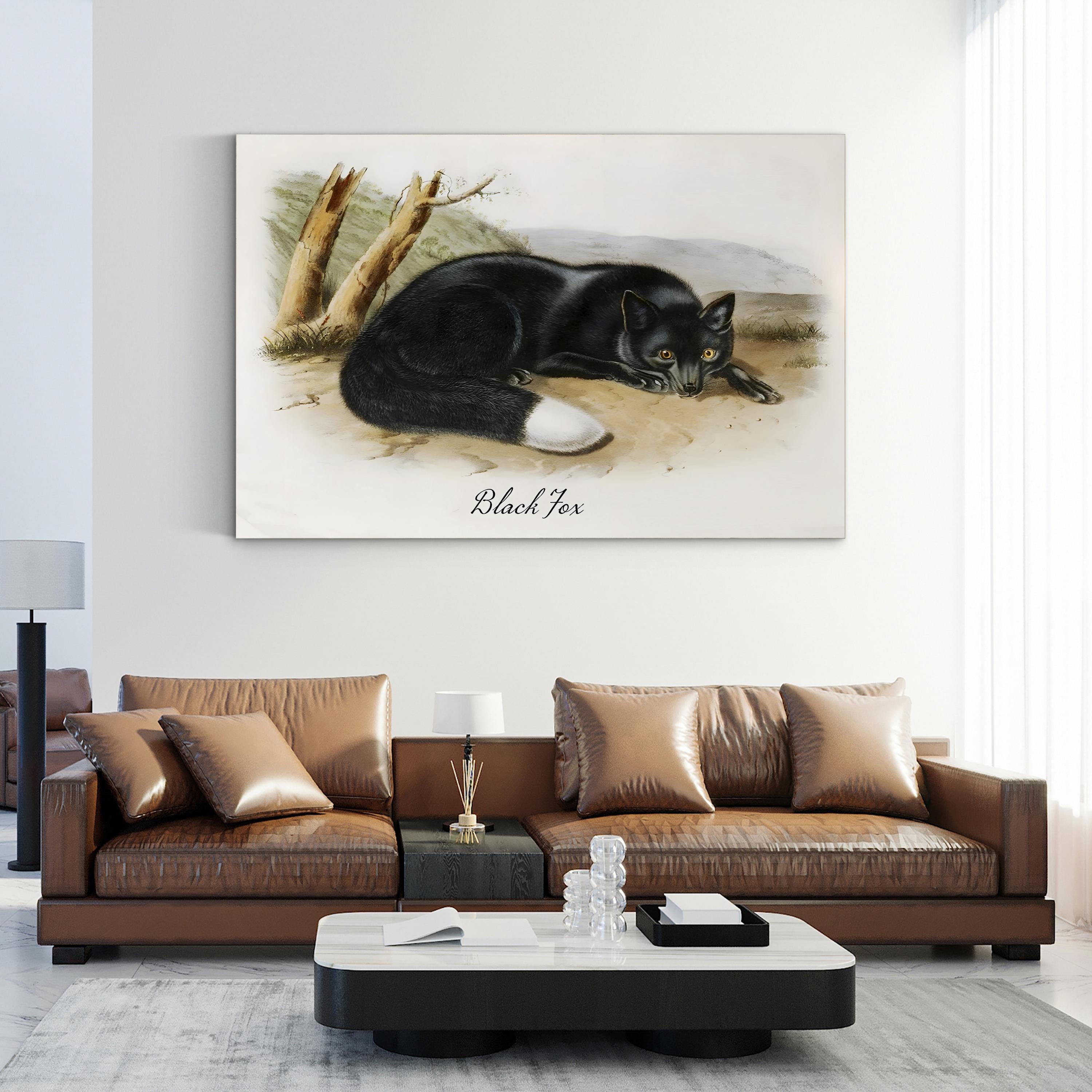 Vintage Wildlife Study Black Fox Illustration by Vintage Apple Collection
