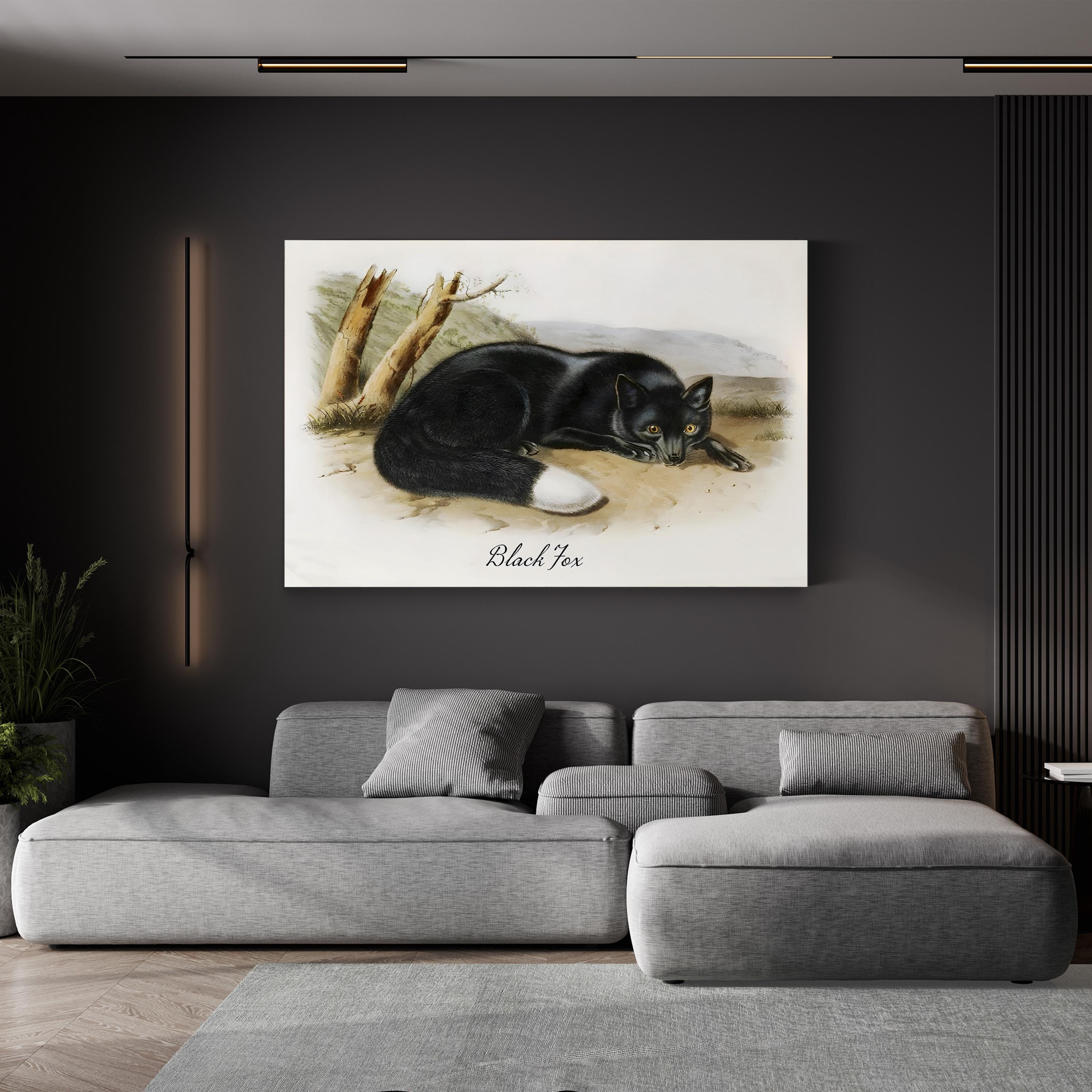 Vintage Wildlife Study Black Fox Illustration by Vintage Apple Collection