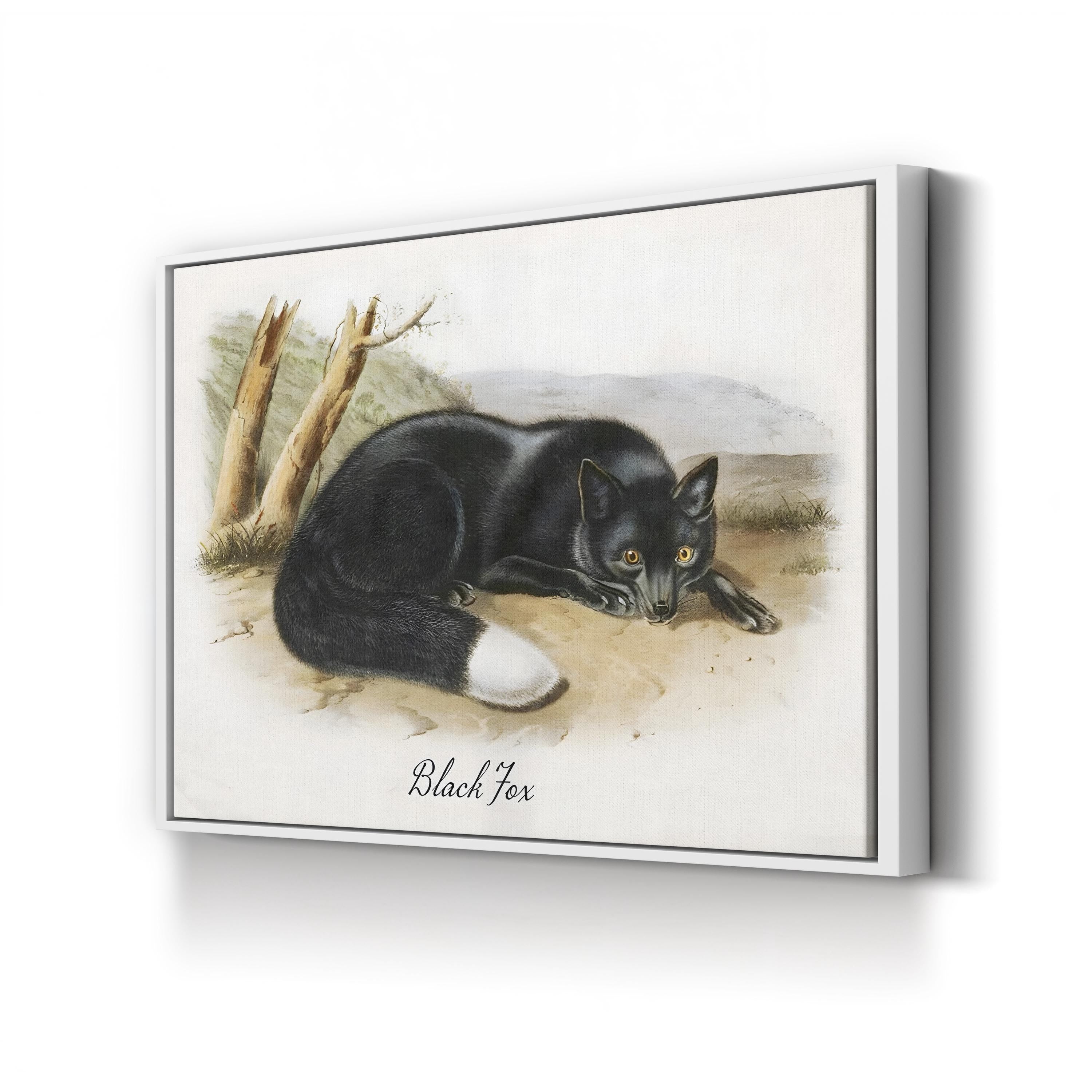 Vintage Wildlife Study Black Fox Illustration by Vintage Apple Collection