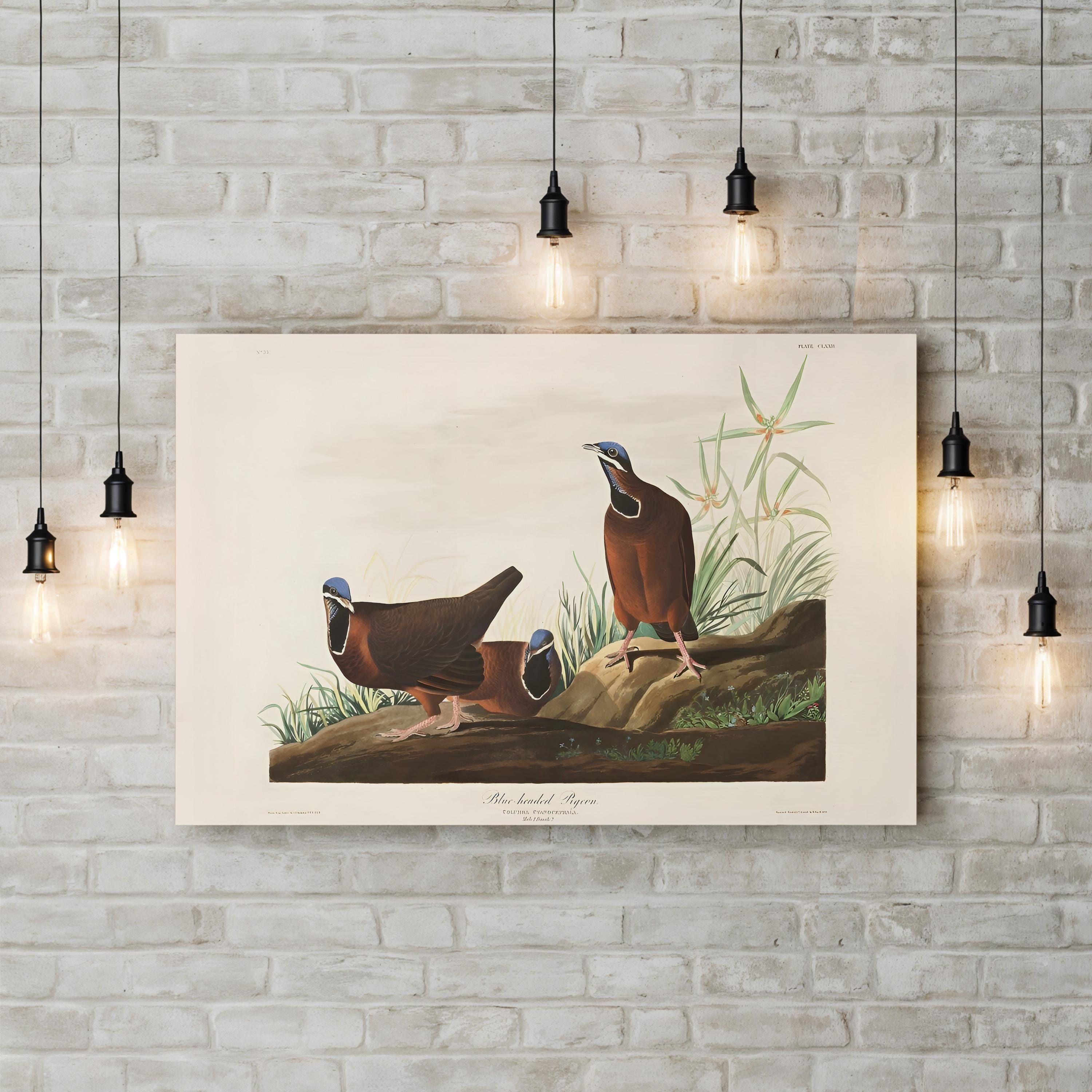 Blue-Headed Pigeon Wall Art by John James Audubon | 19th-Century Ornithological Illustration Canvas Print