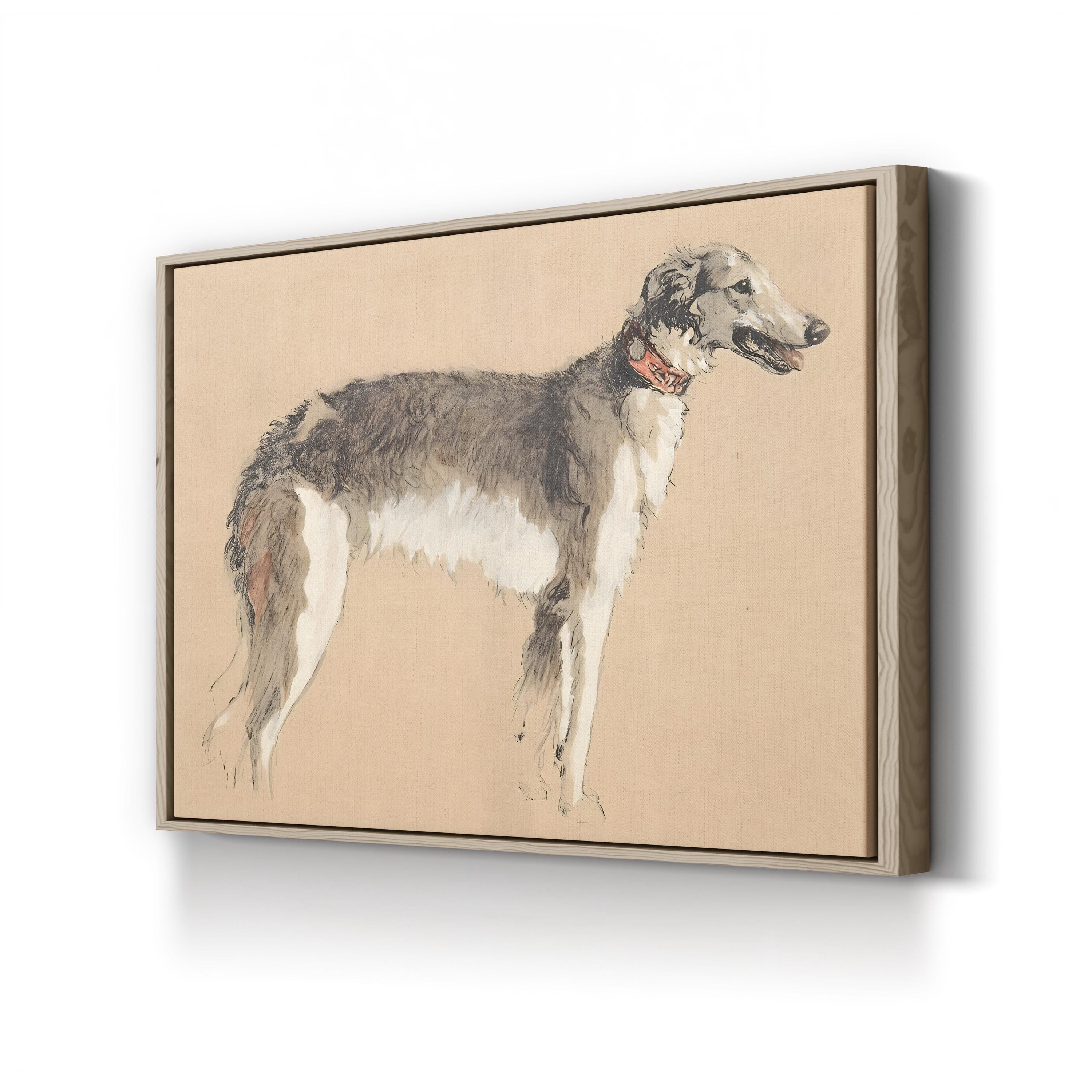 Borzoi Study, 1930, by Cecil Aldin canvas print in oak frame