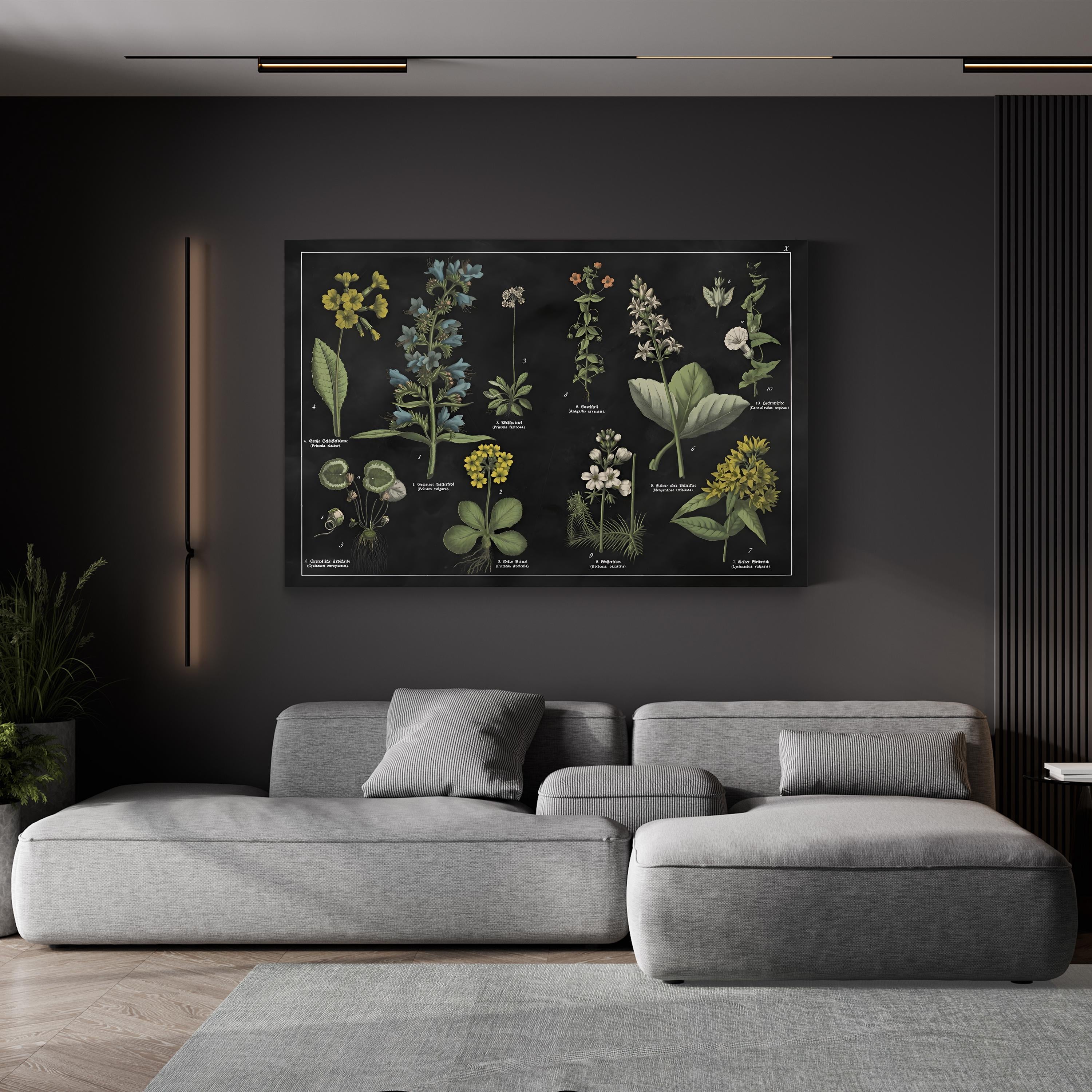 Botanical Floral Chart I Black and White Wall Art by Wild Apple Portfolio