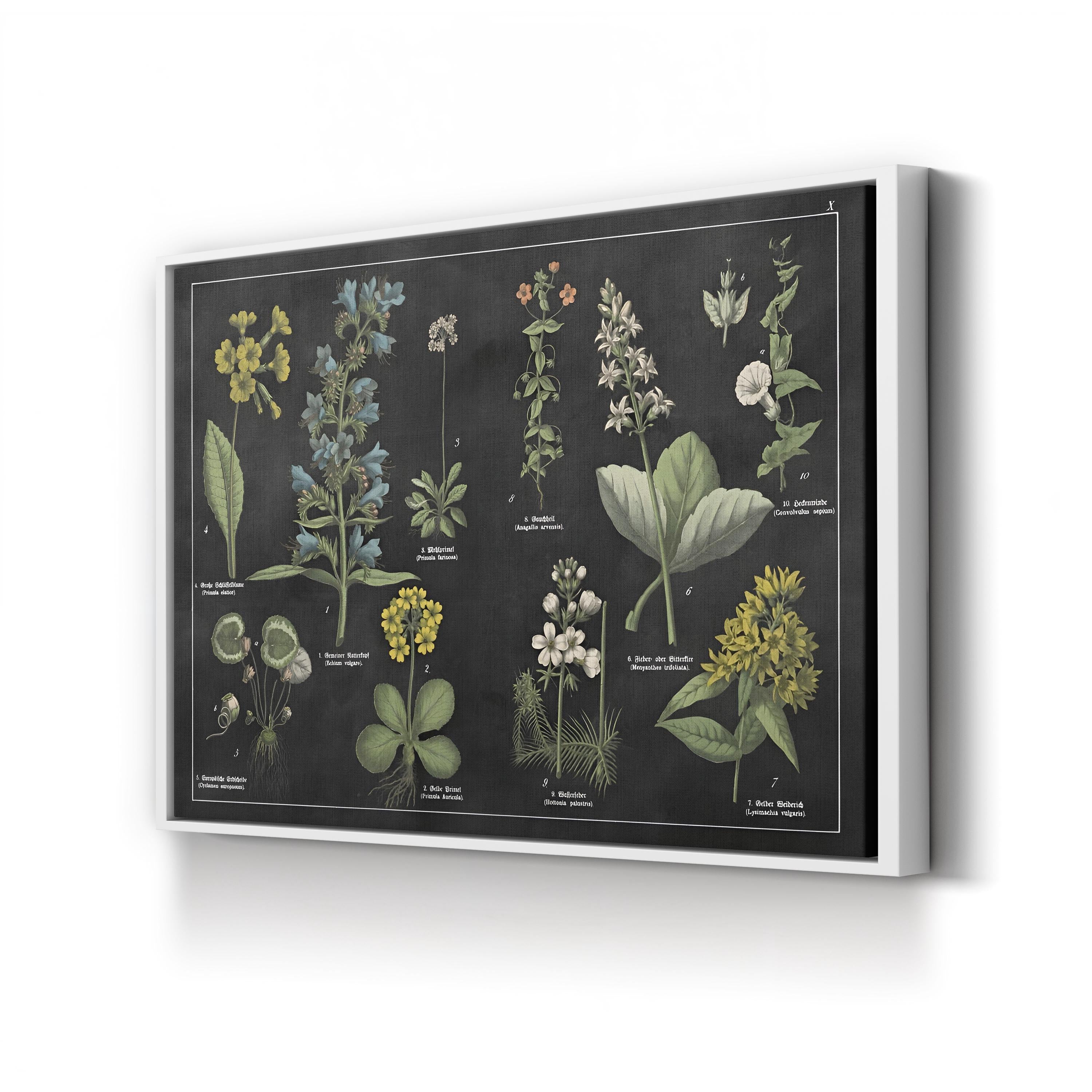 Botanical Floral Chart I Black and White Wall Art by Wild Apple Portfolio
