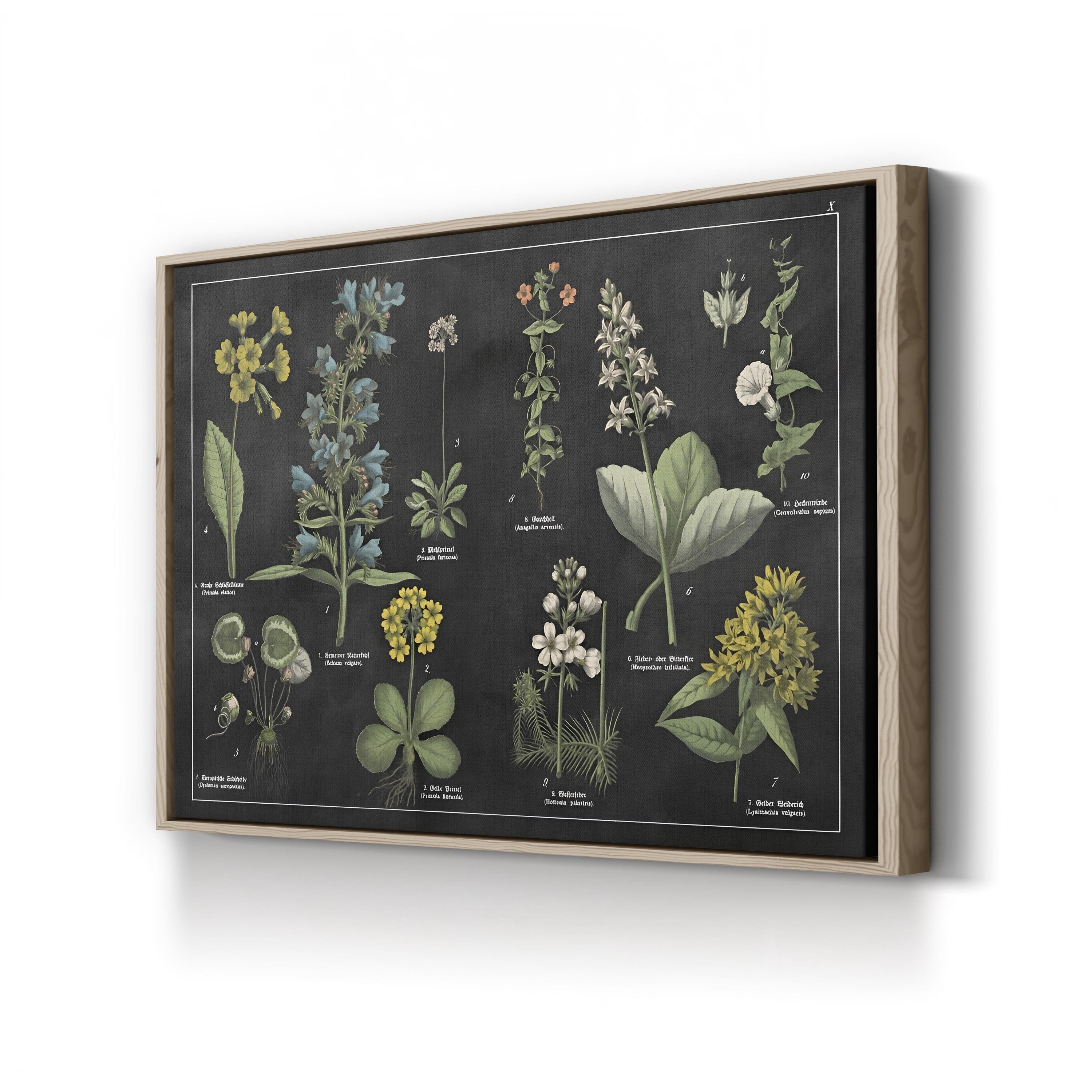 Botanical Floral Chart I Black and White Wall Art by Wild Apple Portfolio