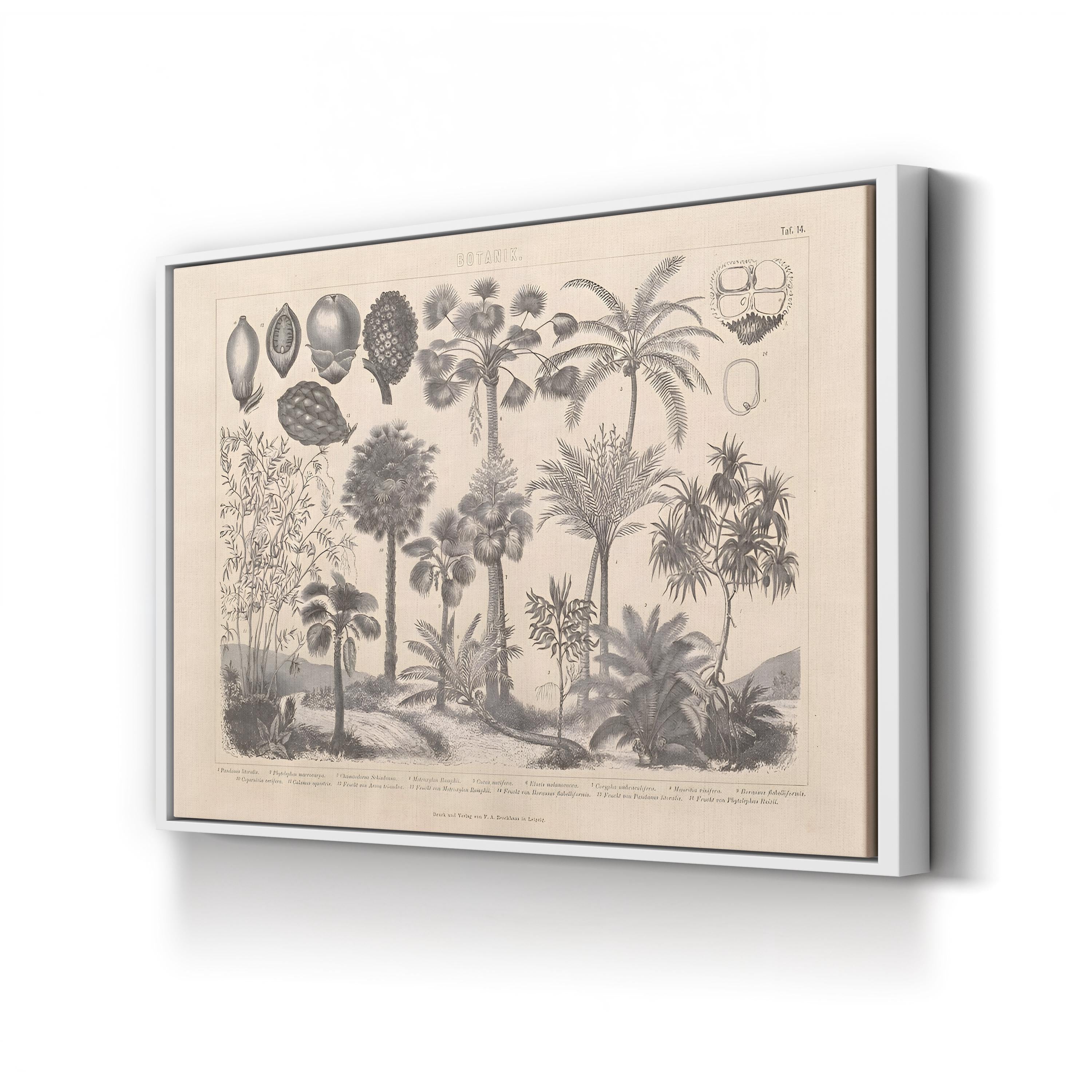 Vintage Botanical Canvas Print: Antique Plant Illustration, Garden Art