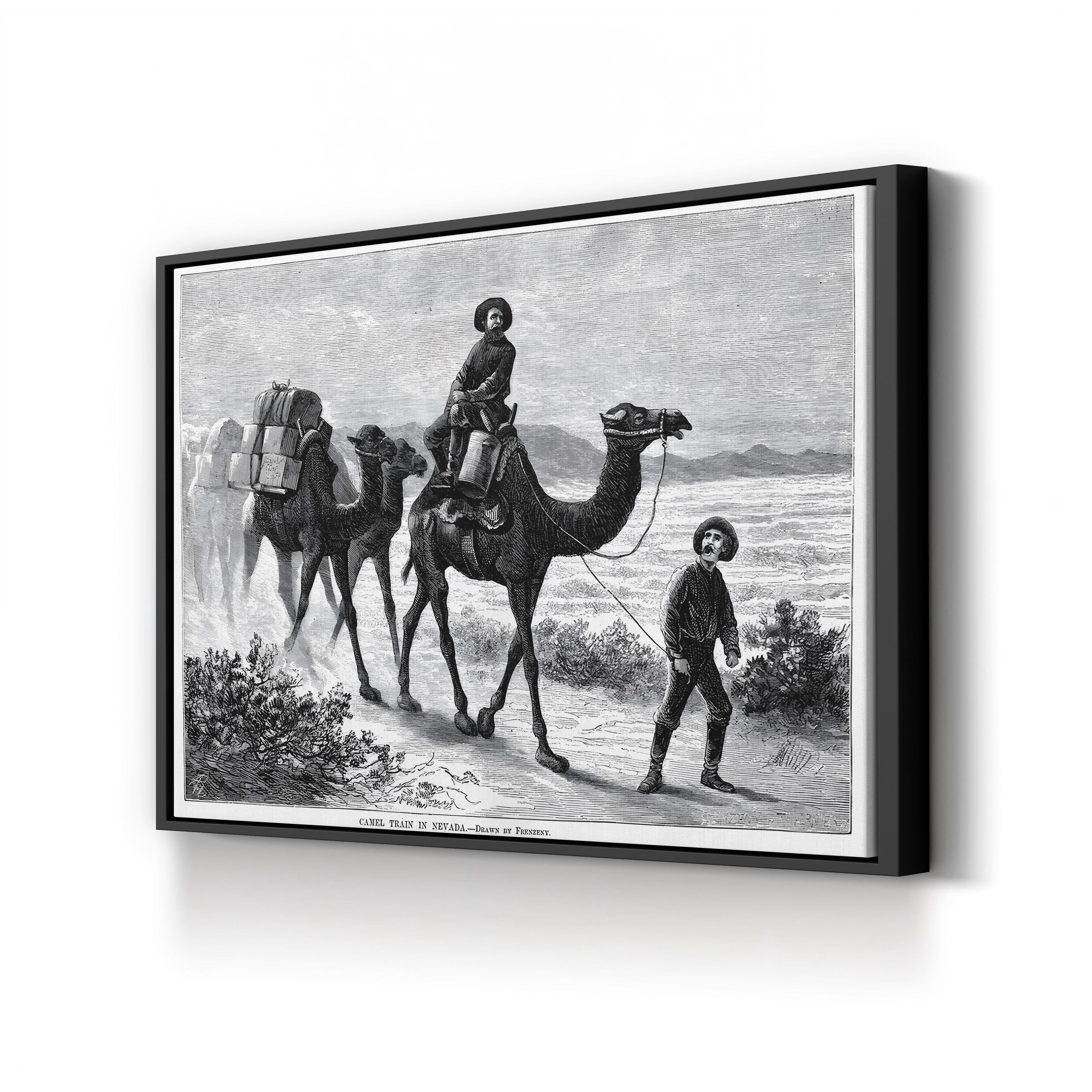 1877 American West Camel Caravan in the Nevada Desert