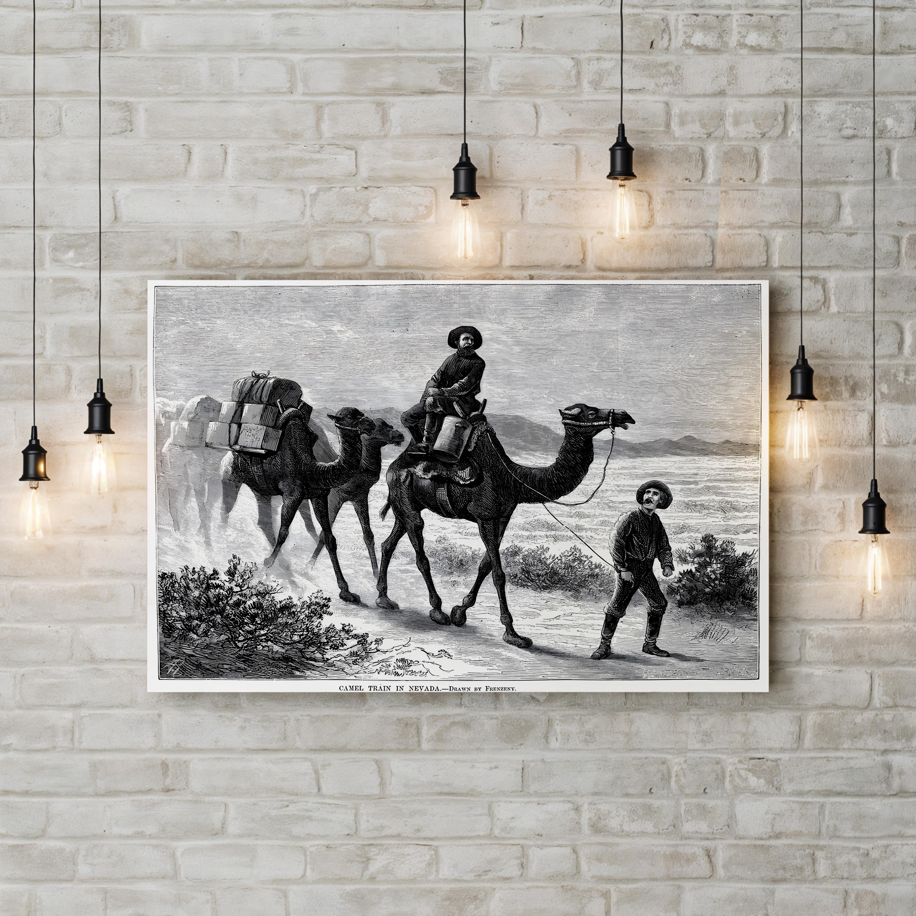 1877 American West Camel Caravan in the Nevada Desert