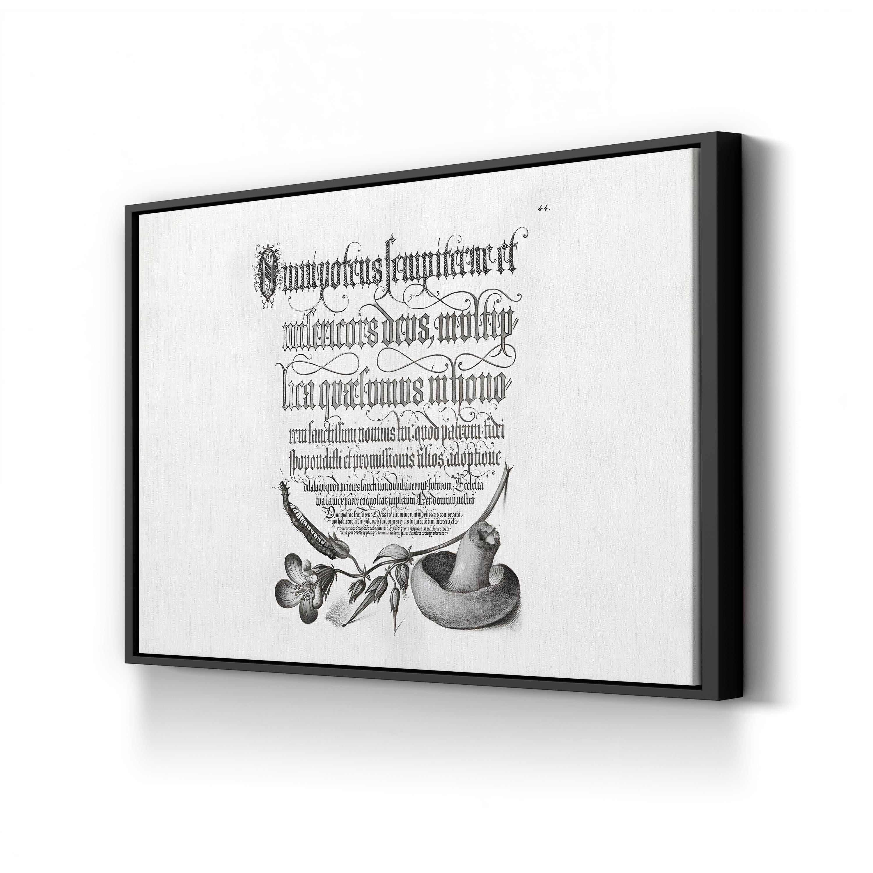 Centipede, Wood Cranesbill & Mushroom by Joris Hoefnagel & Georg Bocskay canvas print in Black Framed Canvas
