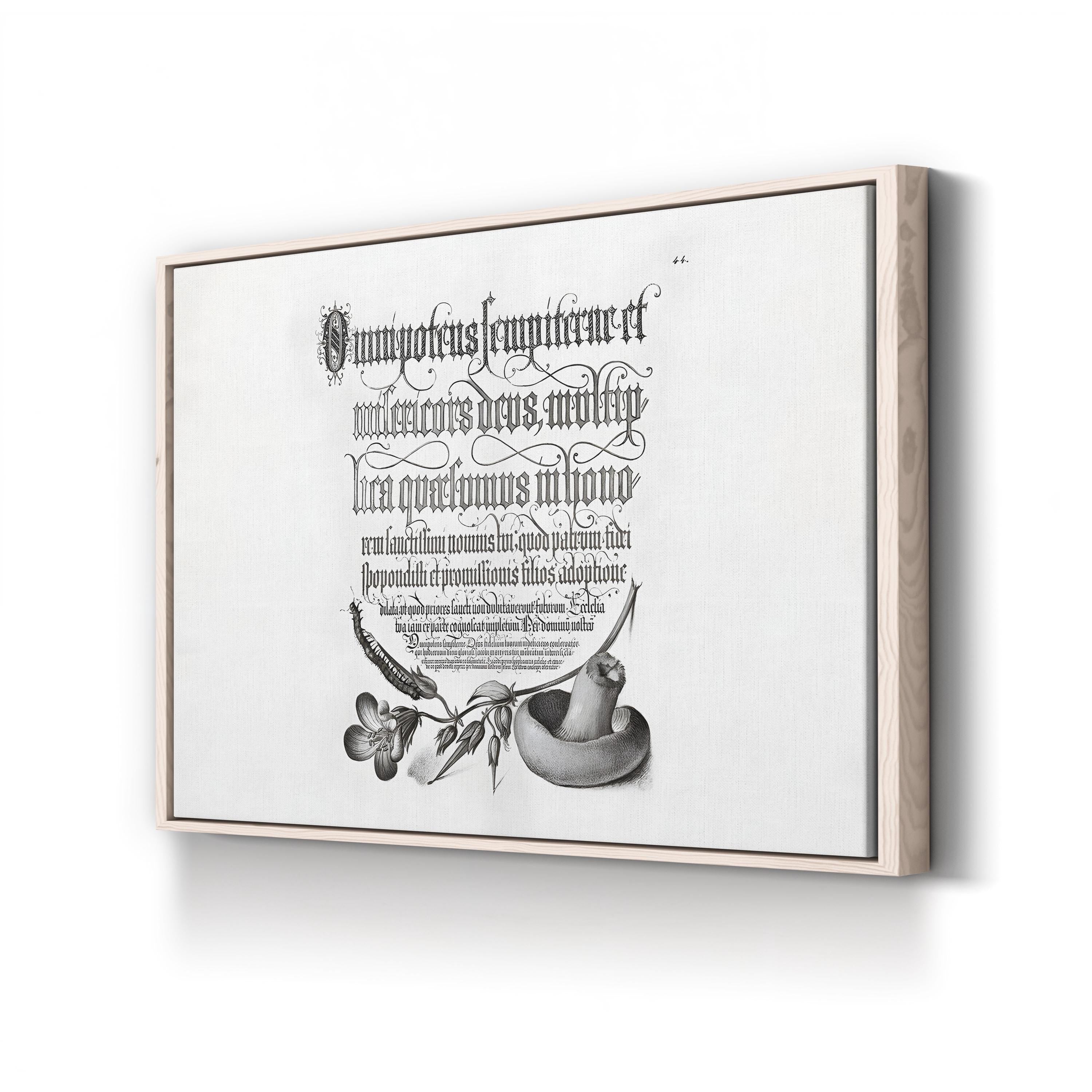 Centipede, Wood Cranesbill & Mushroom by Joris Hoefnagel & Georg Bocskay canvas print in Natural Frame Canvas
