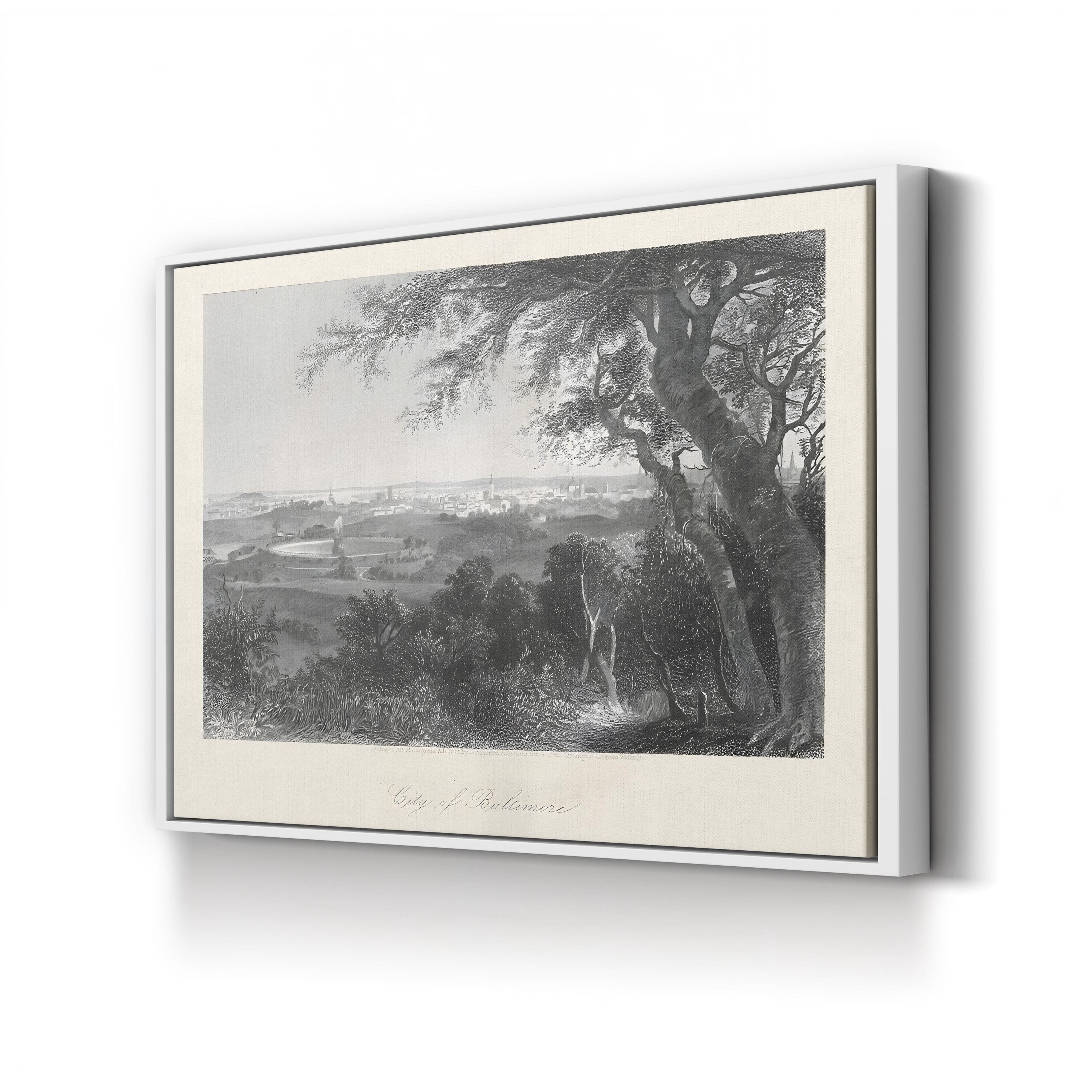 19th-Century Baltimore Cityscape – Period Illustration Wall Art | Historic Panorama Canvas Print