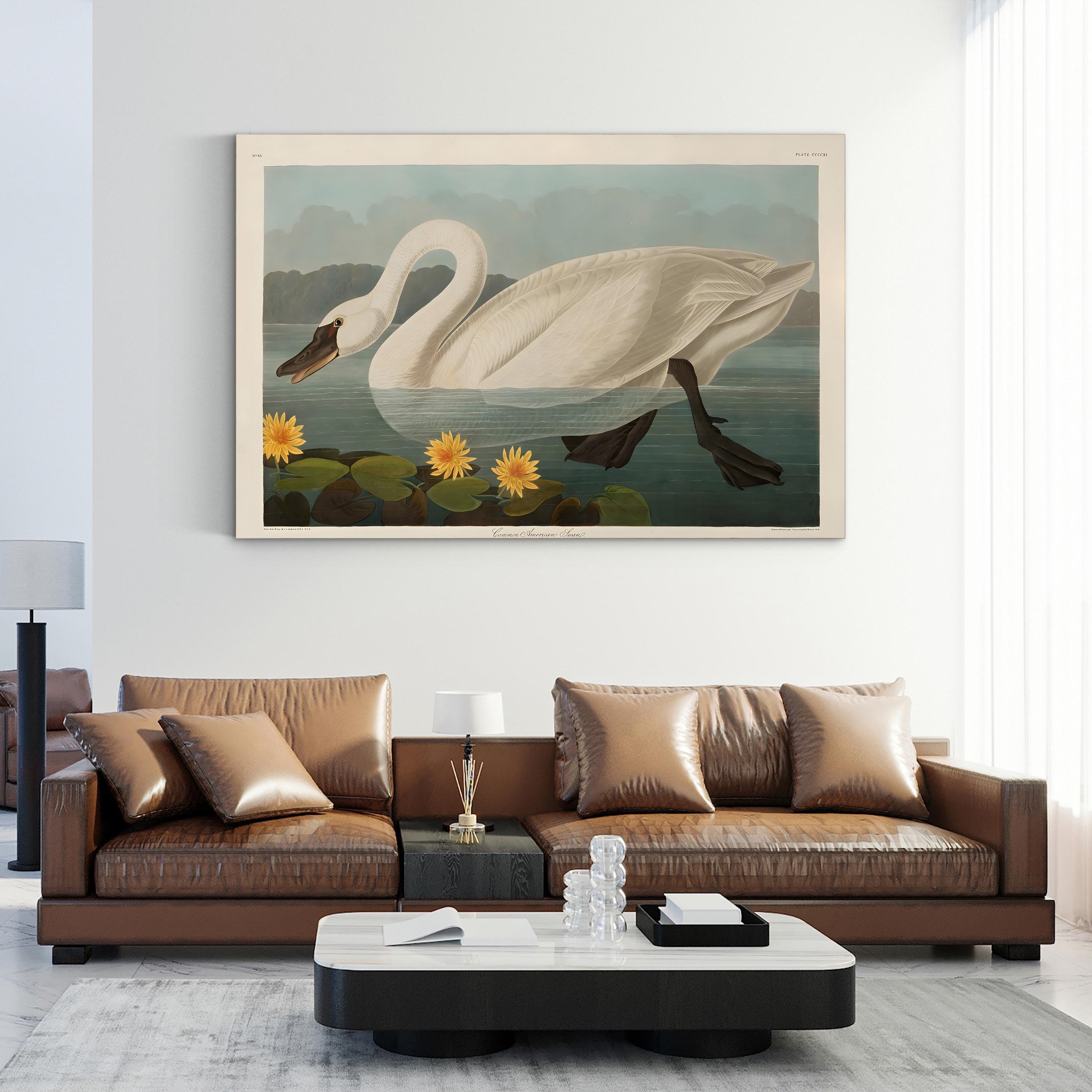 Vintage Swan Elegance – Period Illustration Wall Art | Wildlife Canvas Print