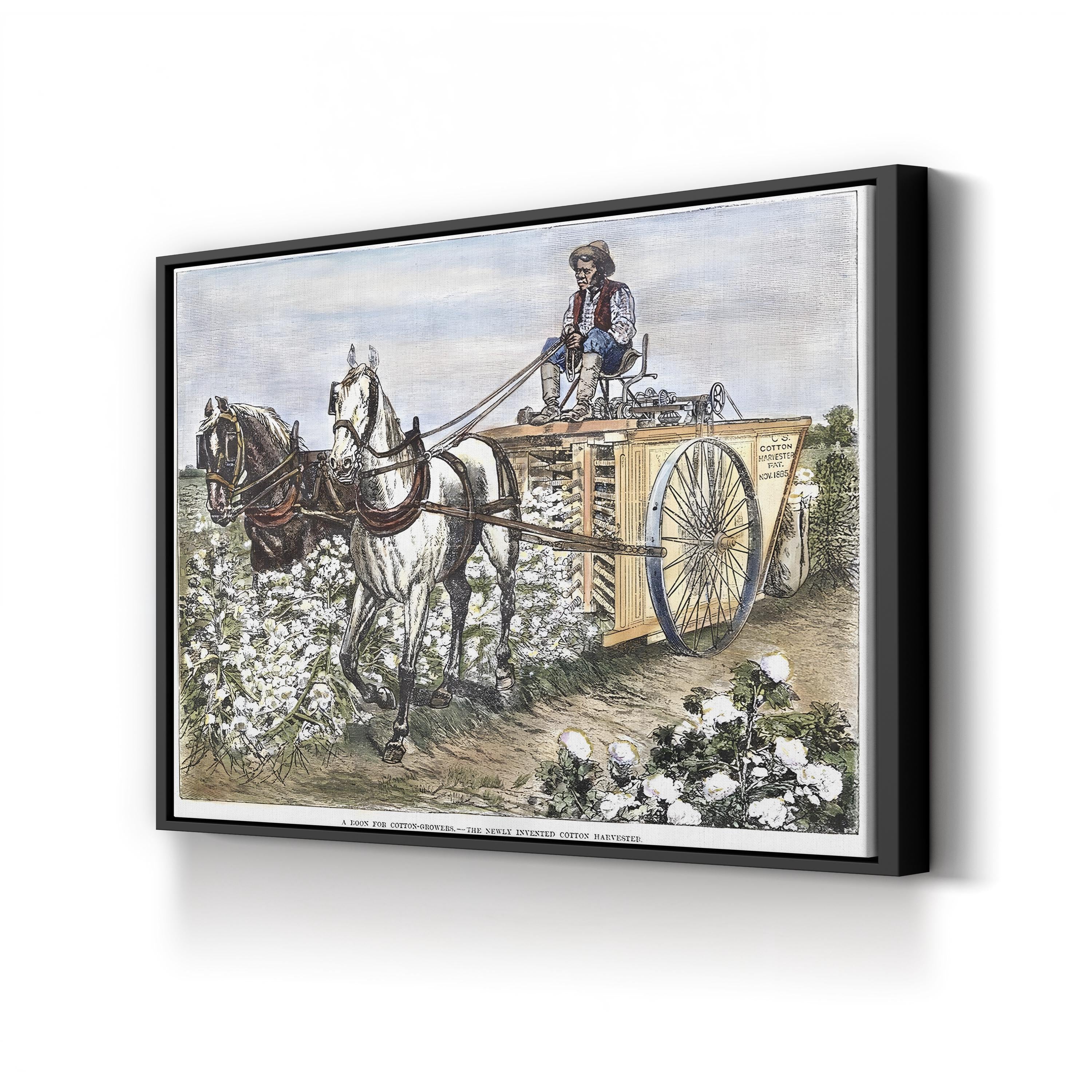 1886 Cotton Harvester Scene canvas print in Black frame