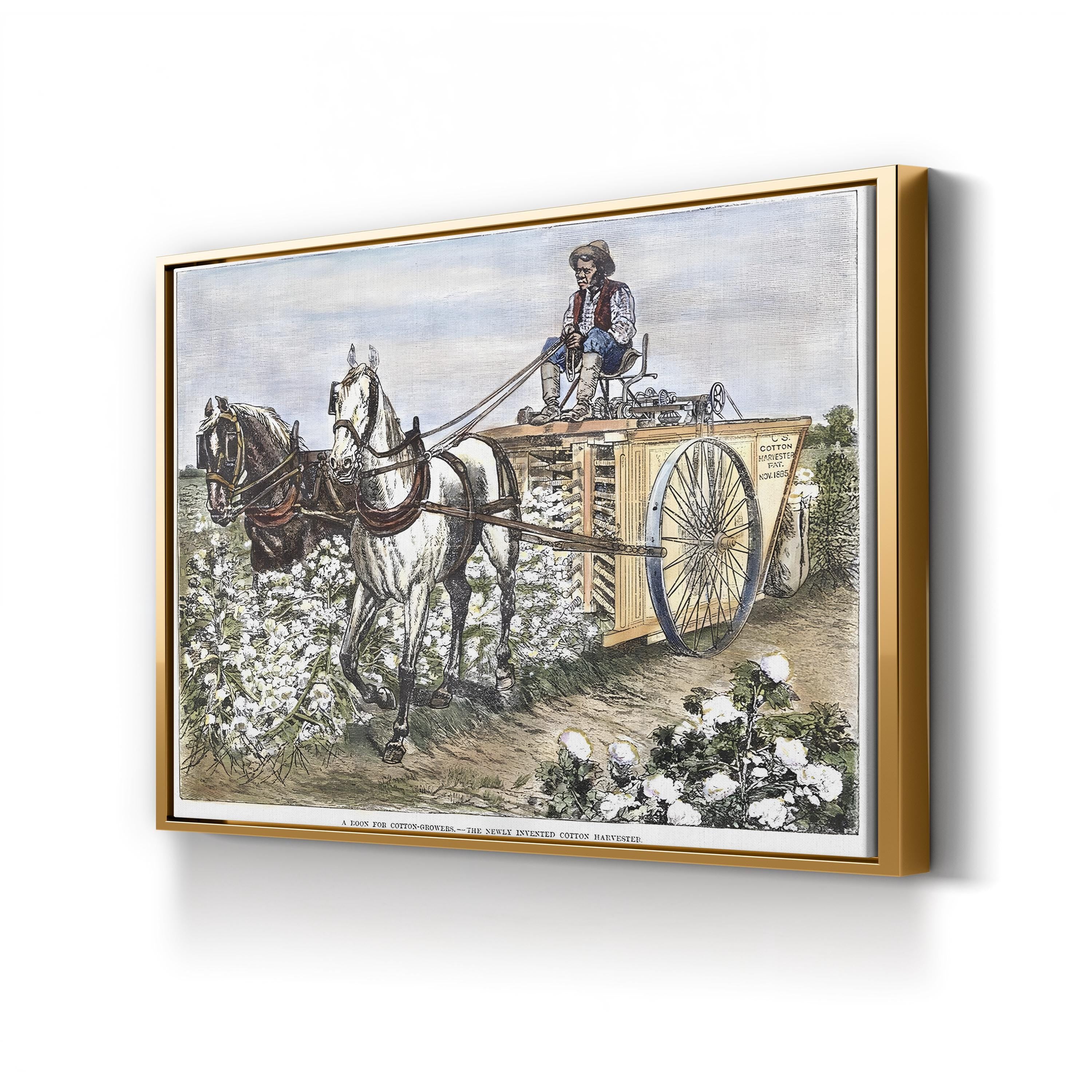 1886 Cotton Harvester Scene canvas print in Gold frame
