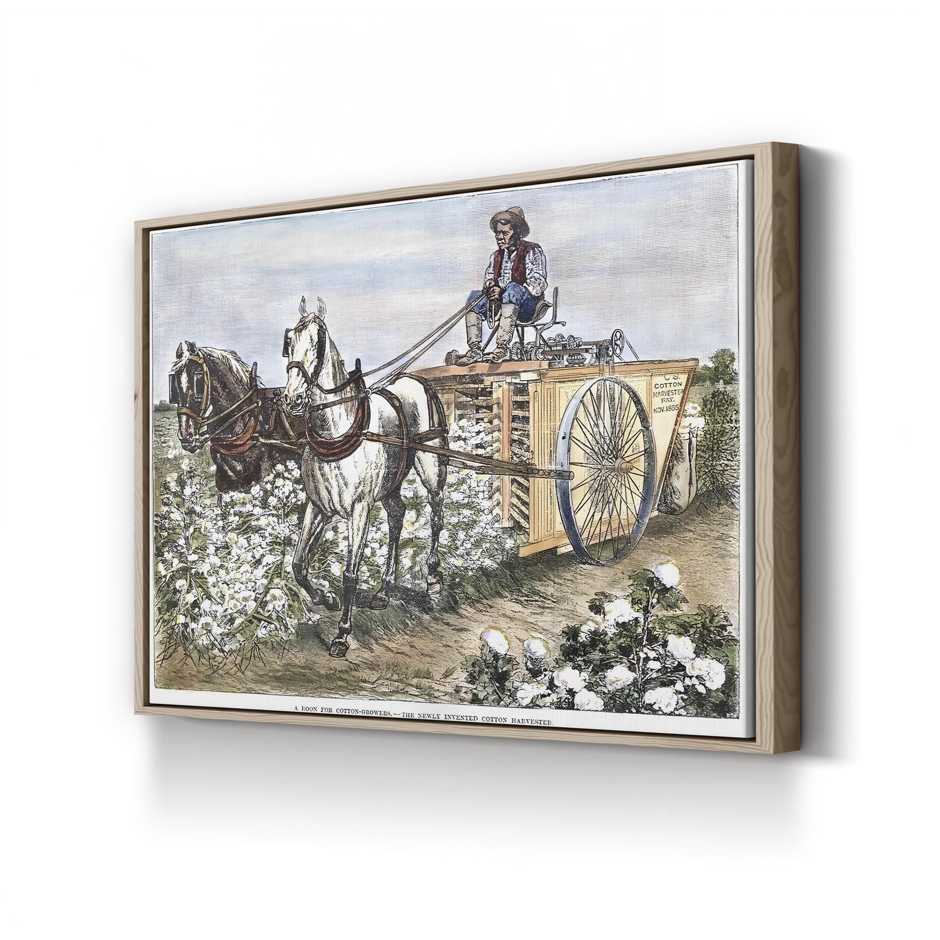1886 Cotton Harvester Scene canvas print in Oak frame