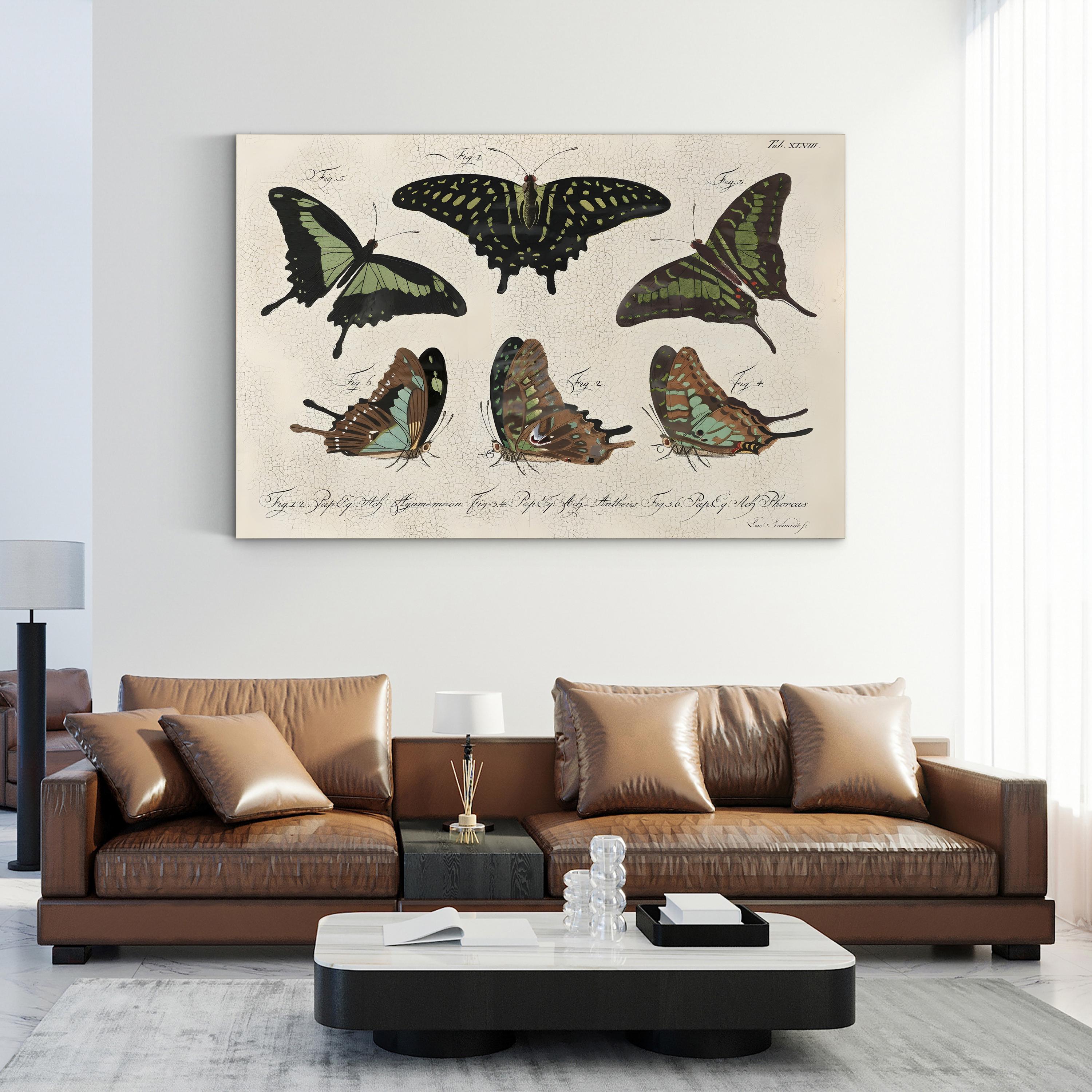 Cracked Botanical Vintage Butterflies II Wall Art