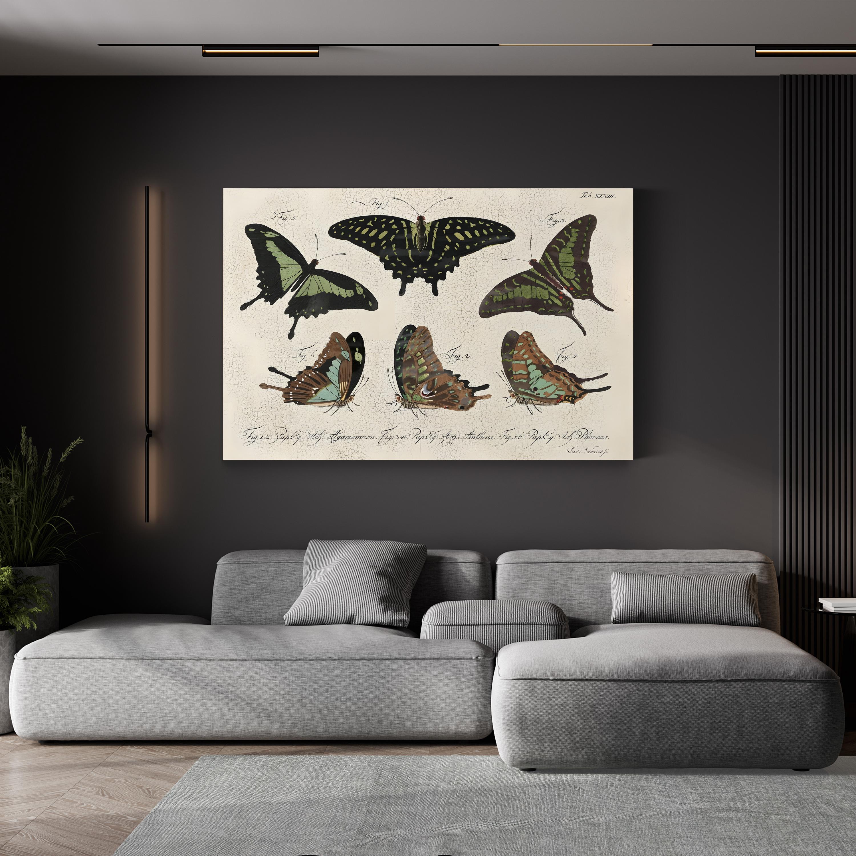 Cracked Botanical Vintage Butterflies II Wall Art