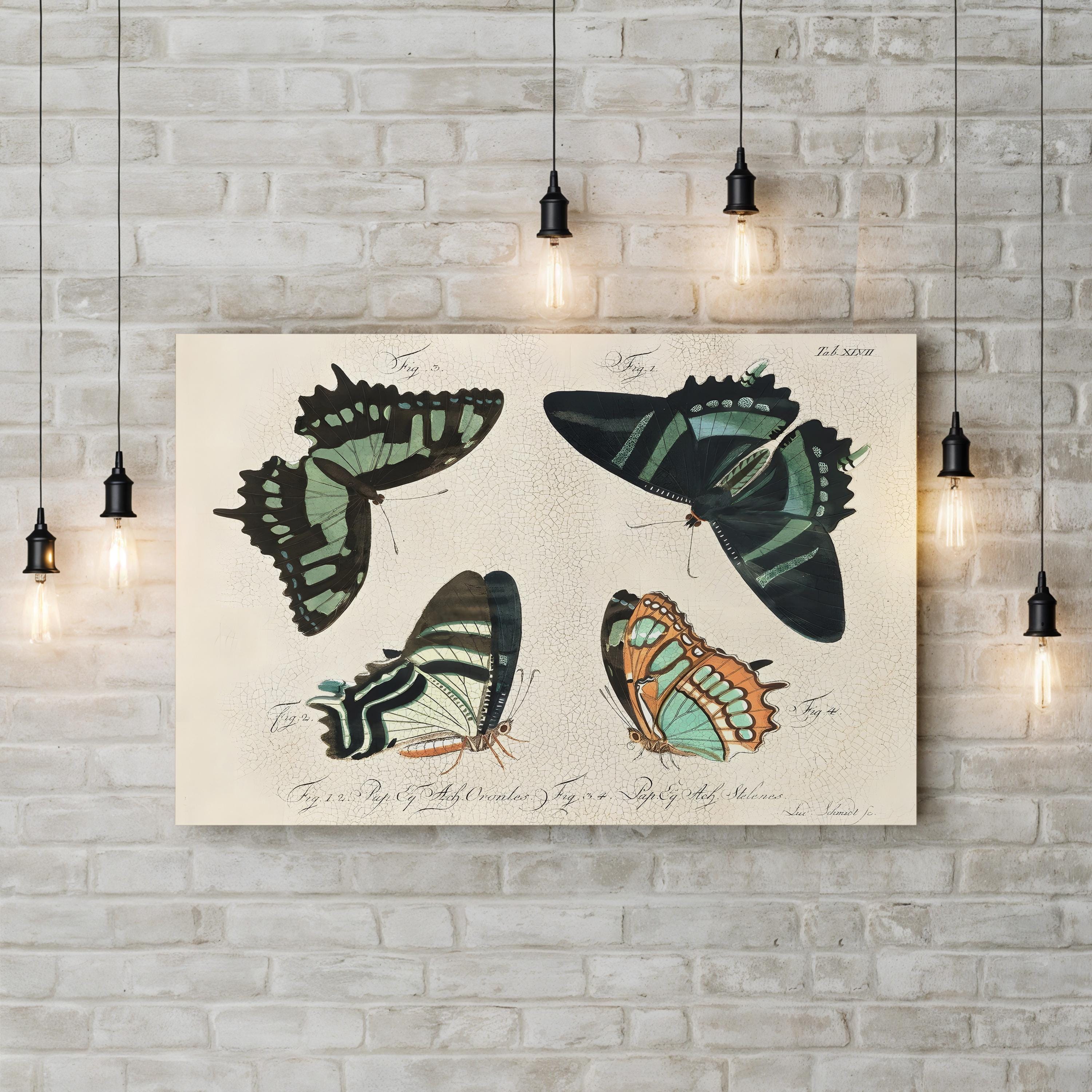 Crackled Butterflies III Wall Art