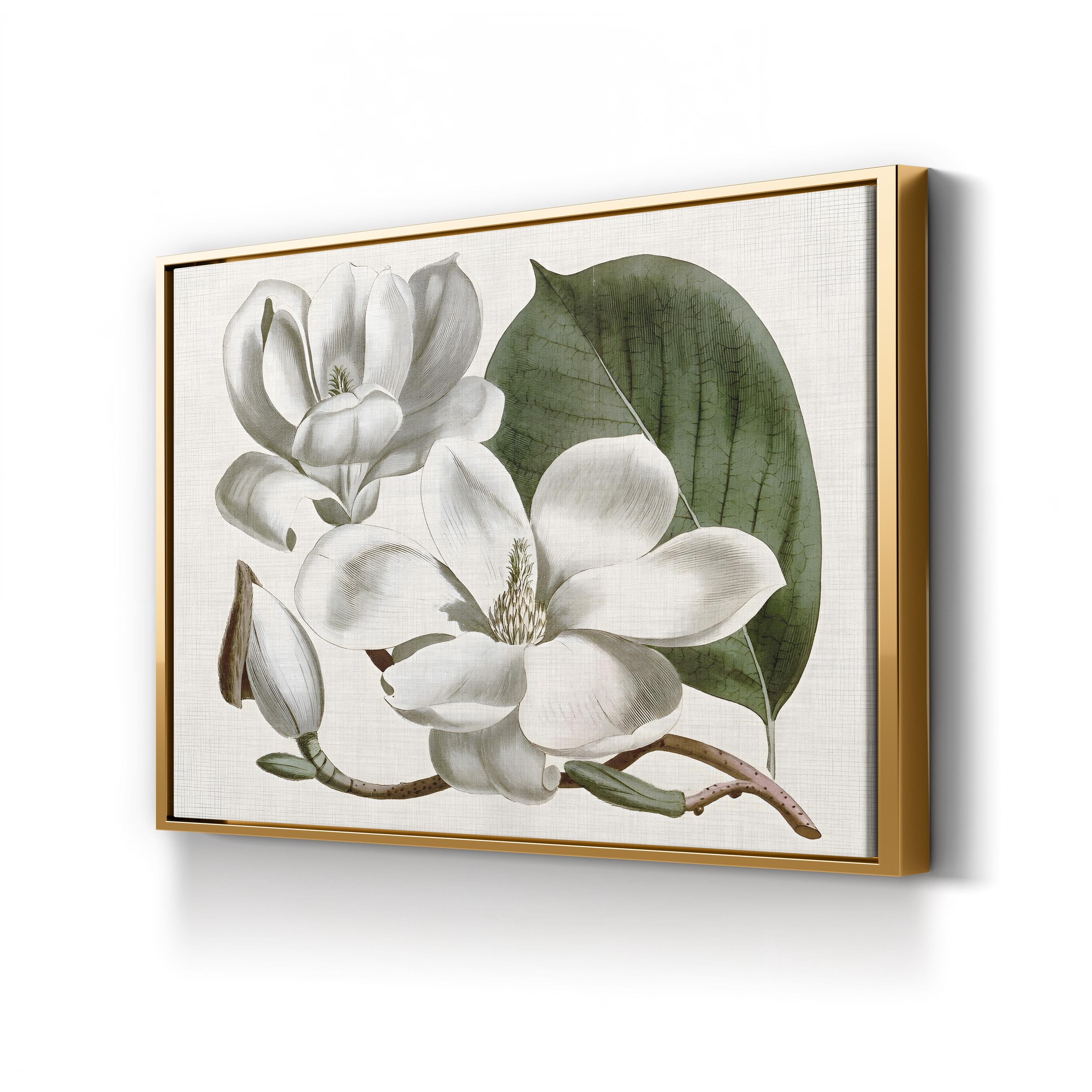 Vintage Magnolia Bloom canvas print in gold frame