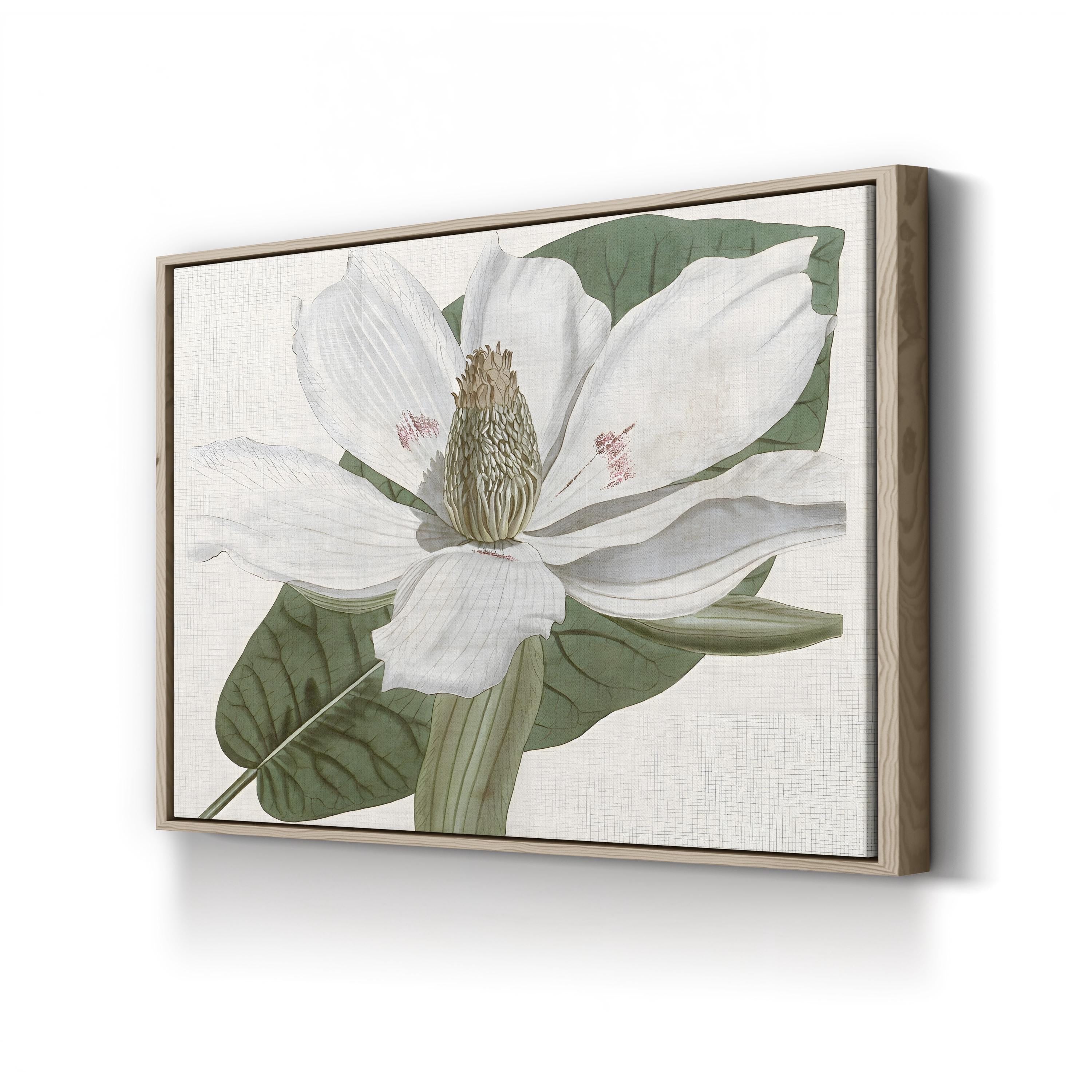 Curtis Magnolia II Wall Art by Curtis Art
