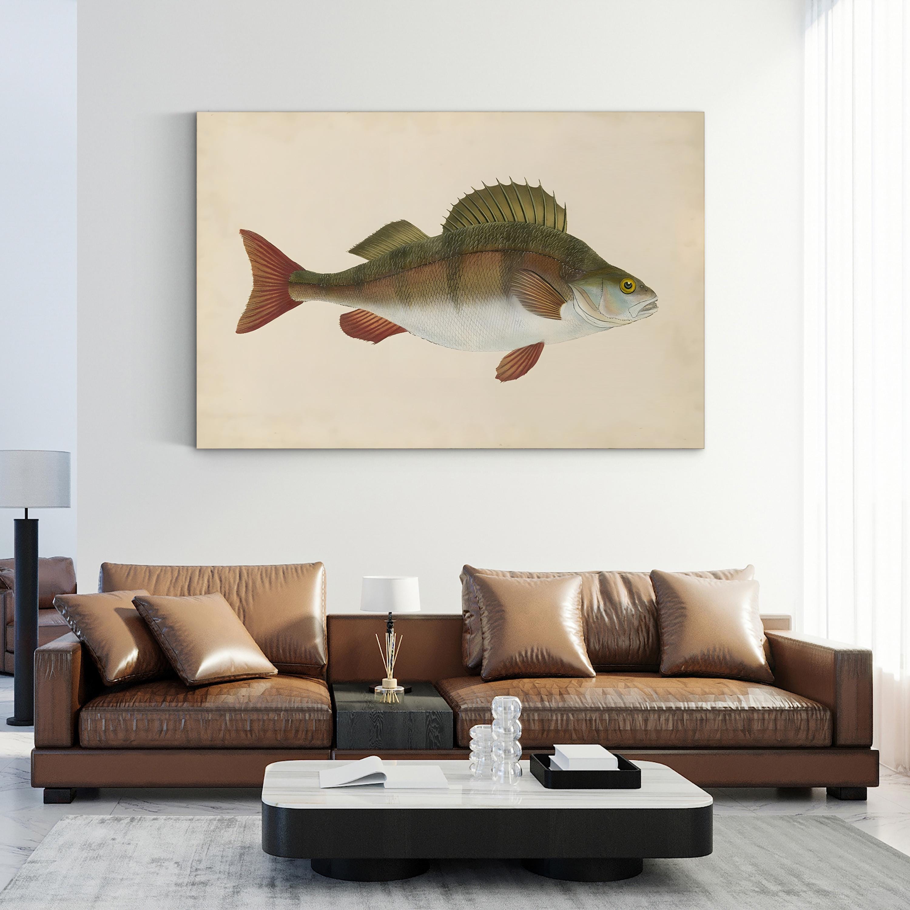 Naturalist Fish Specimen Study – Donovan Wall Art | Marine Illustration Canvas Print