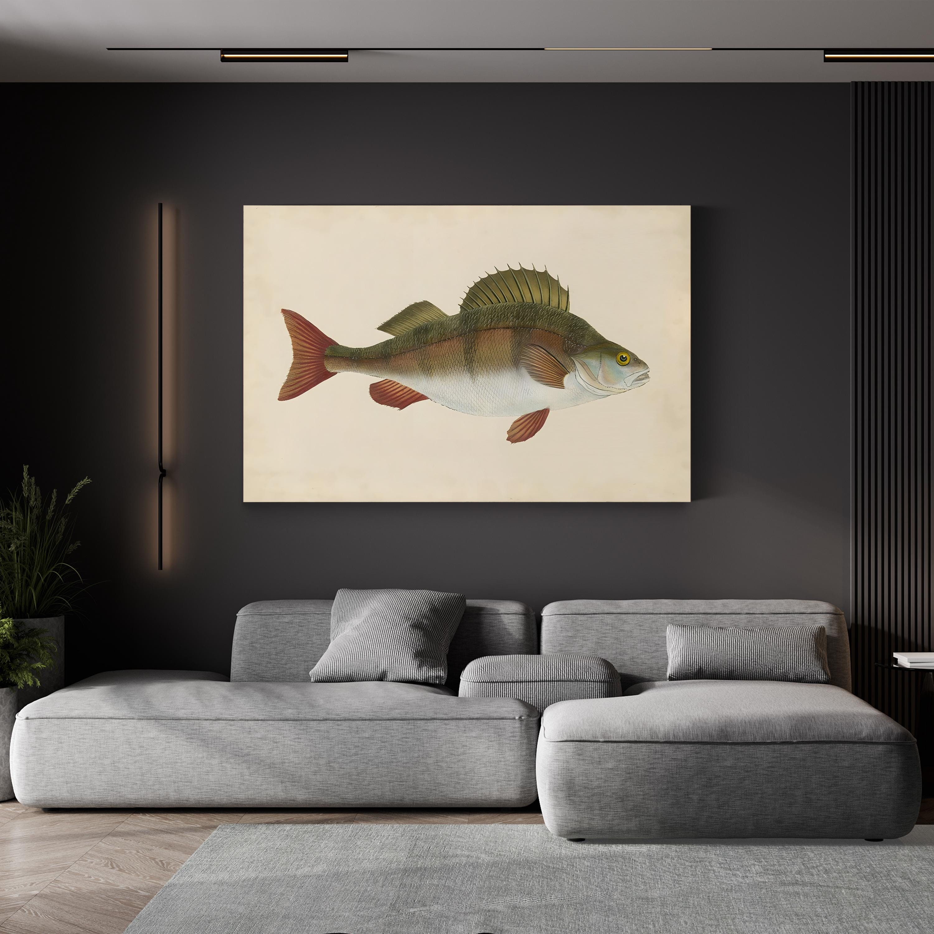 Naturalist Fish Specimen Study – Donovan Wall Art | Marine Illustration Canvas Print