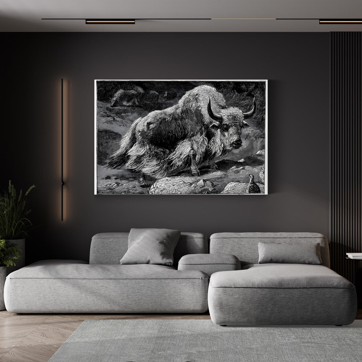 Yak Naturalist Study in Black and White canvas print displayed in a living room