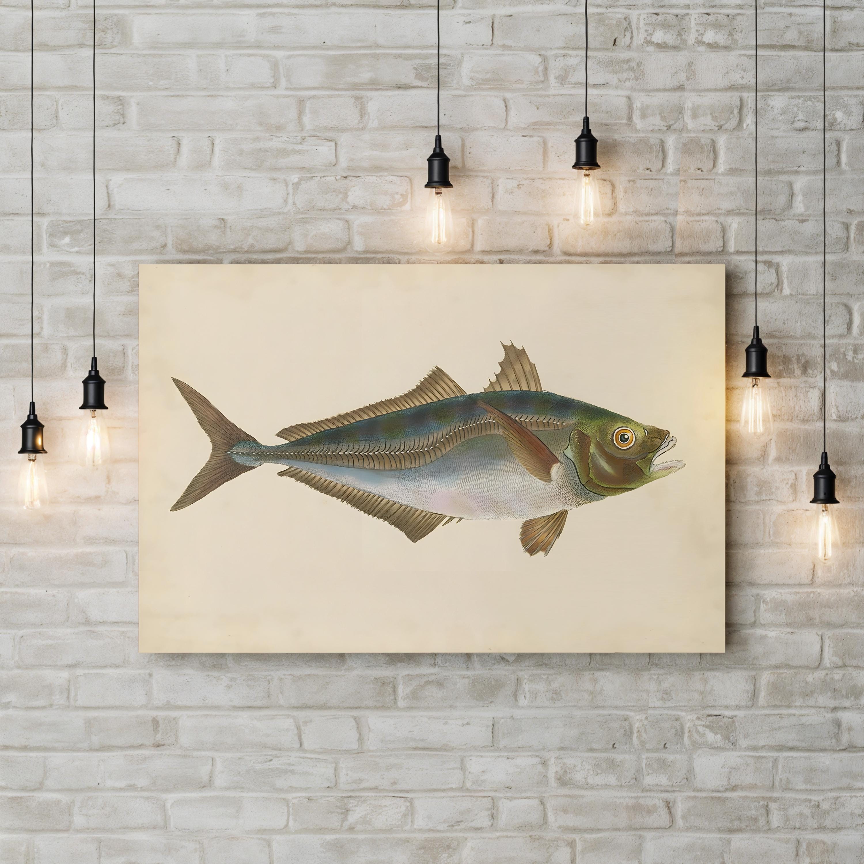 19th-Century Marine Fish Study – Donovan Wall Art | Naturalist Illustration Canvas Print