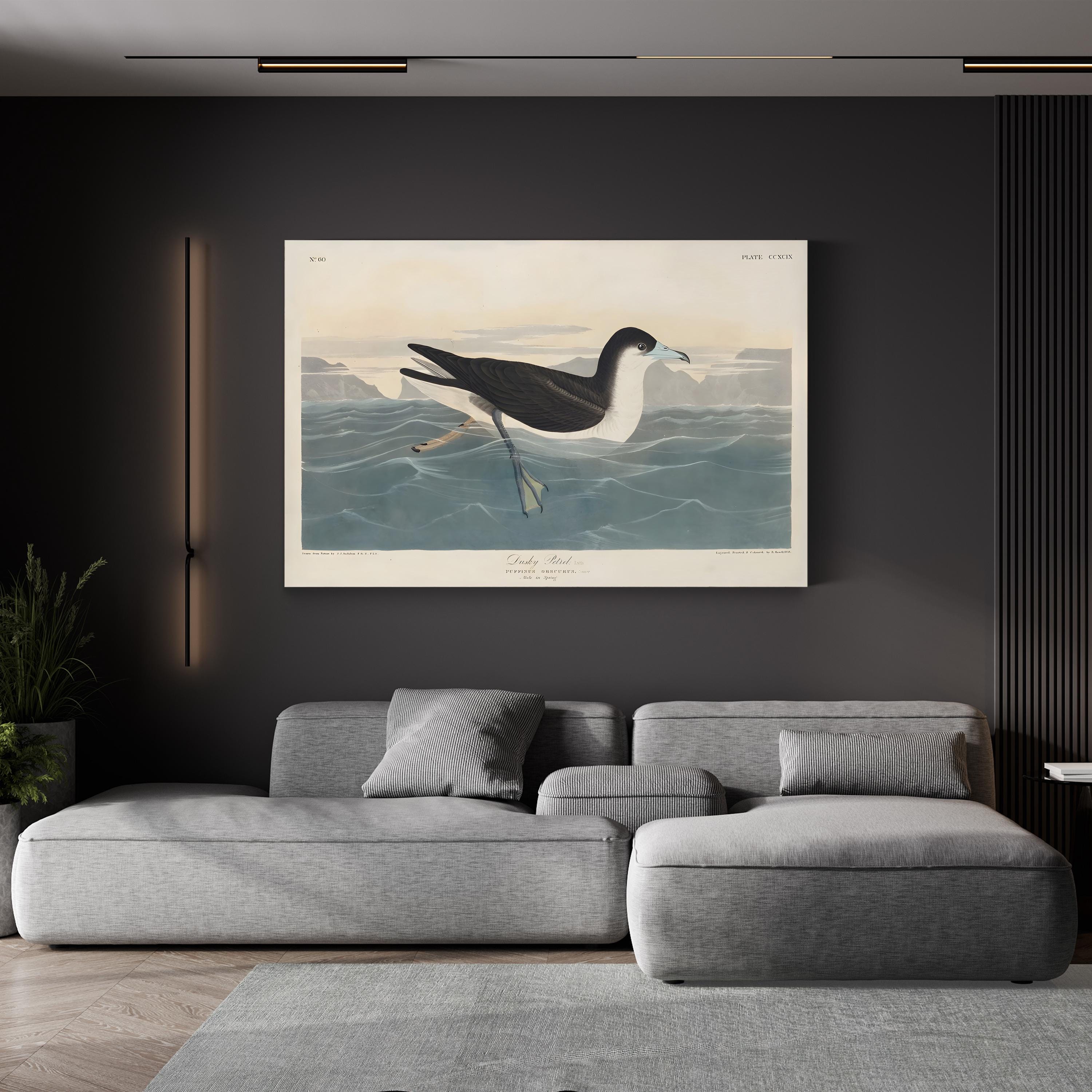 Dusky Petrel Wall Art – John James Audubon | 19th-Century Seabird Illustration Canvas Print