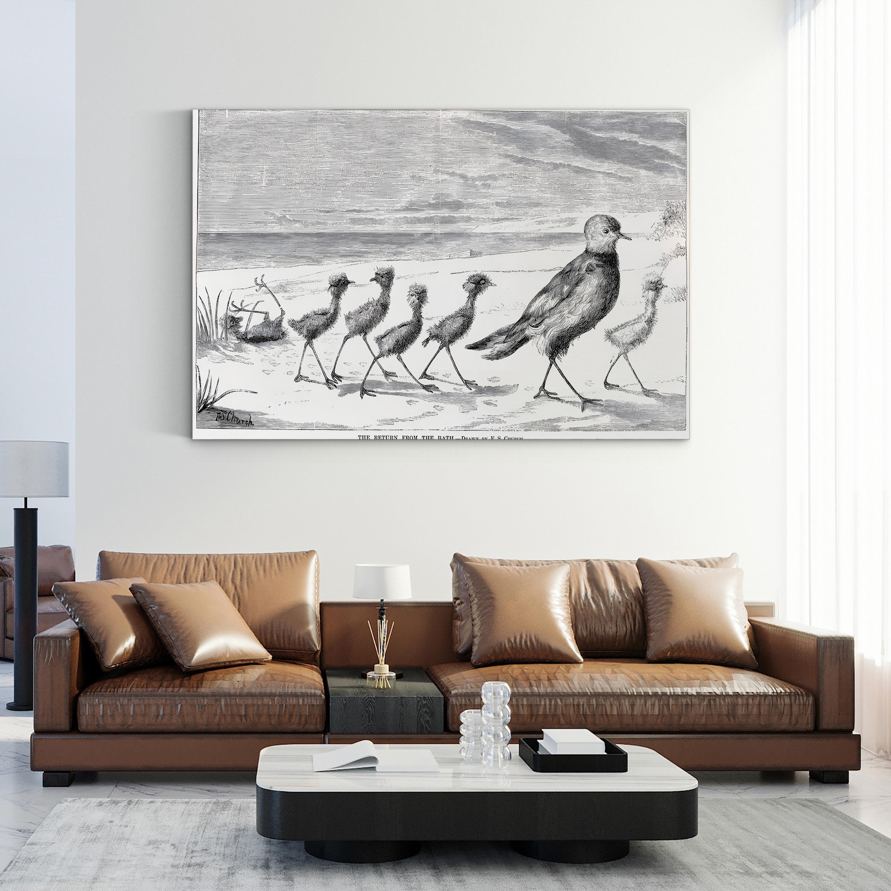 Vintage Bird Family Canvas Art Print: 1879 Engraved Nature Illustration