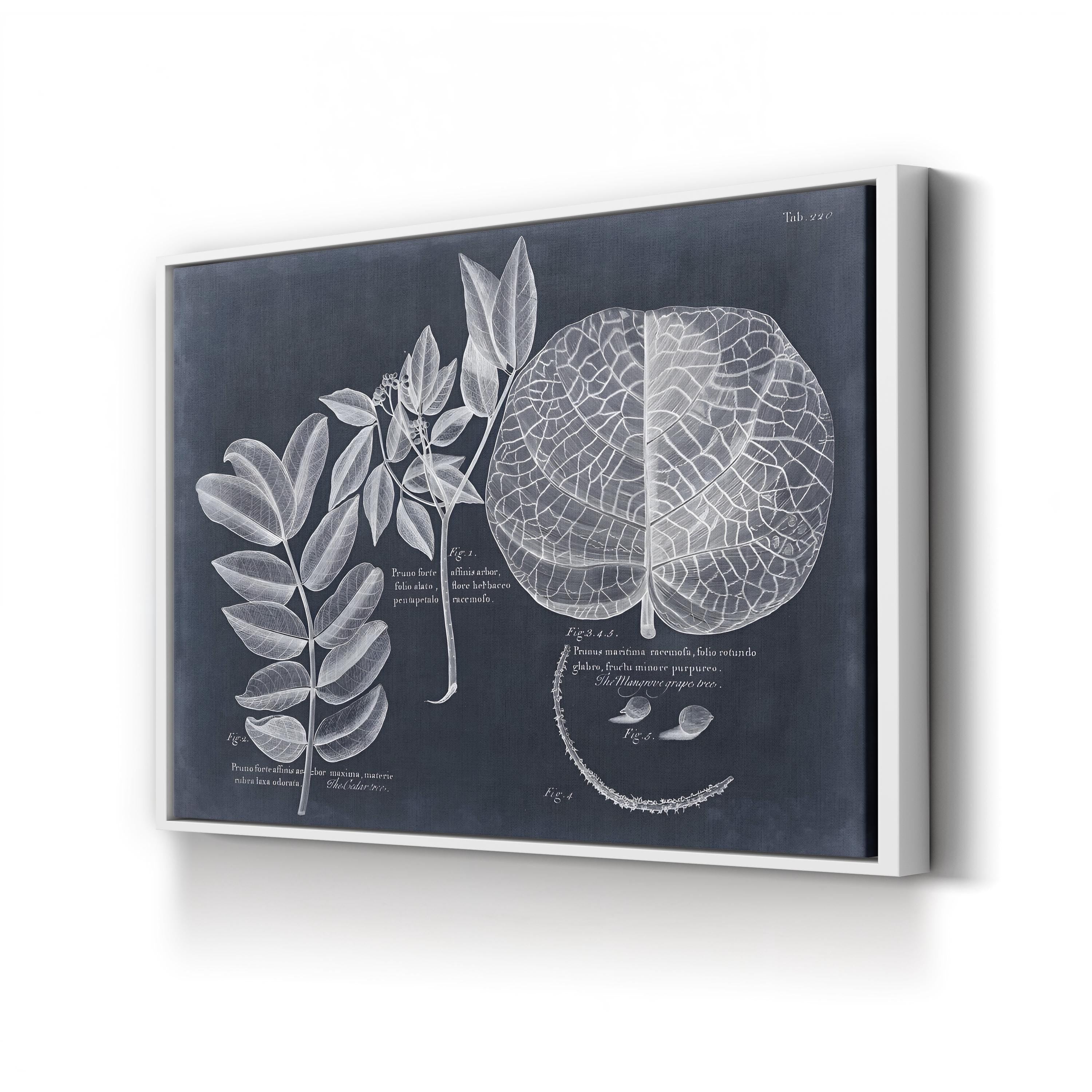 Antique Botanical Leaf Illustration on Navy canvas print in White Framed Canvas