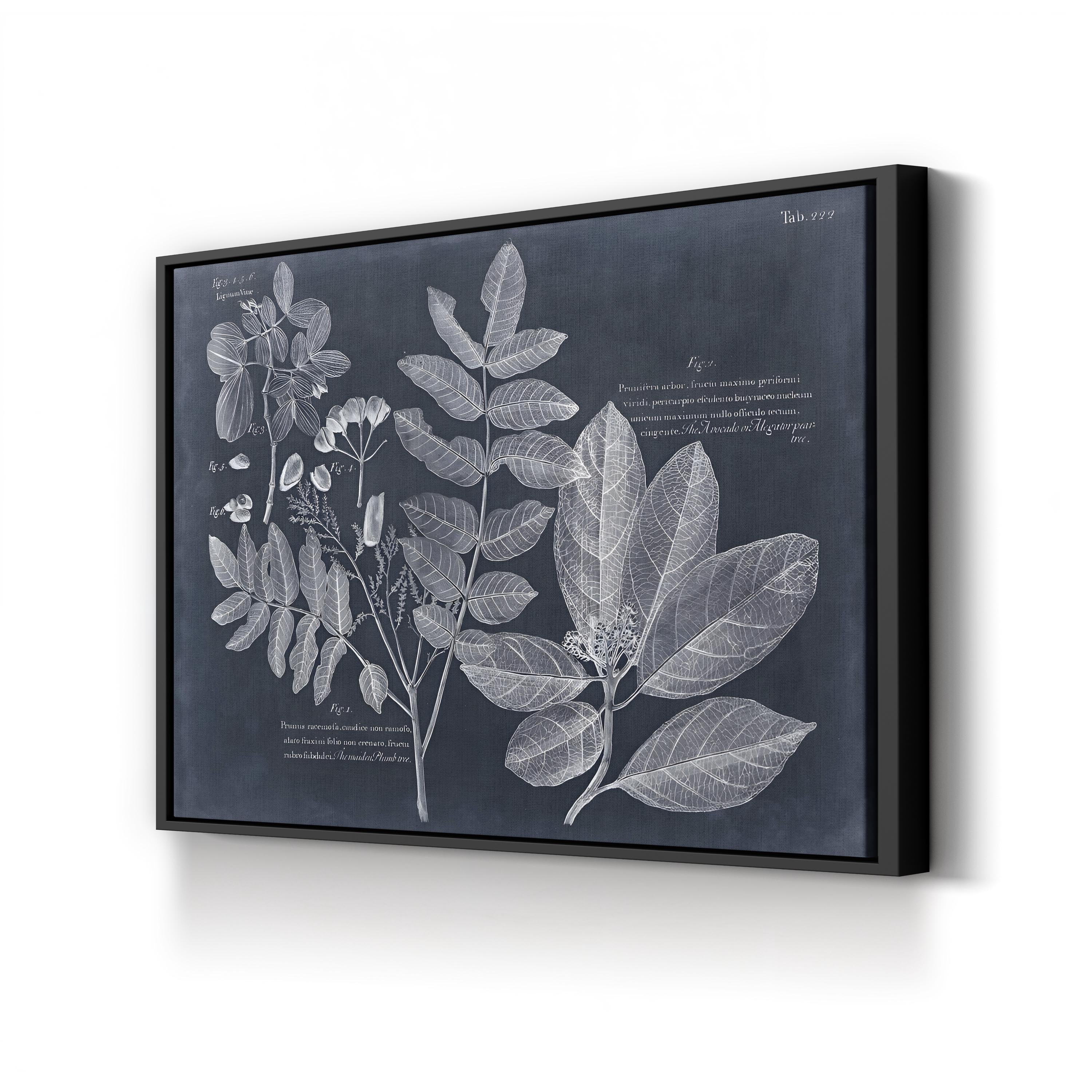 Foliage on Navy V Wall Art — Vision Studio Vintage Botanical Illustration