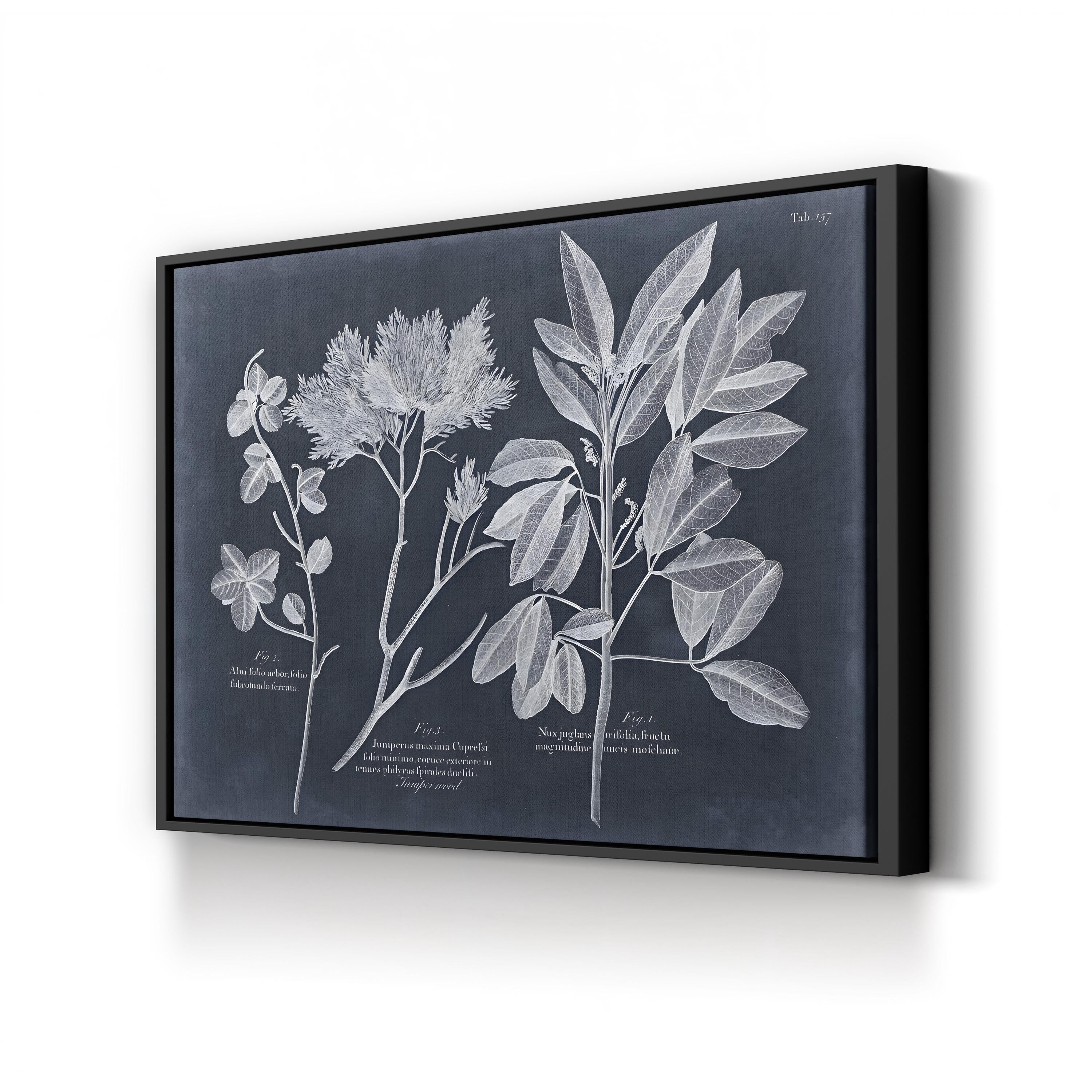 Foliage on Navy VI Wall Art — Vision Studio Vintage Botanical Illustration