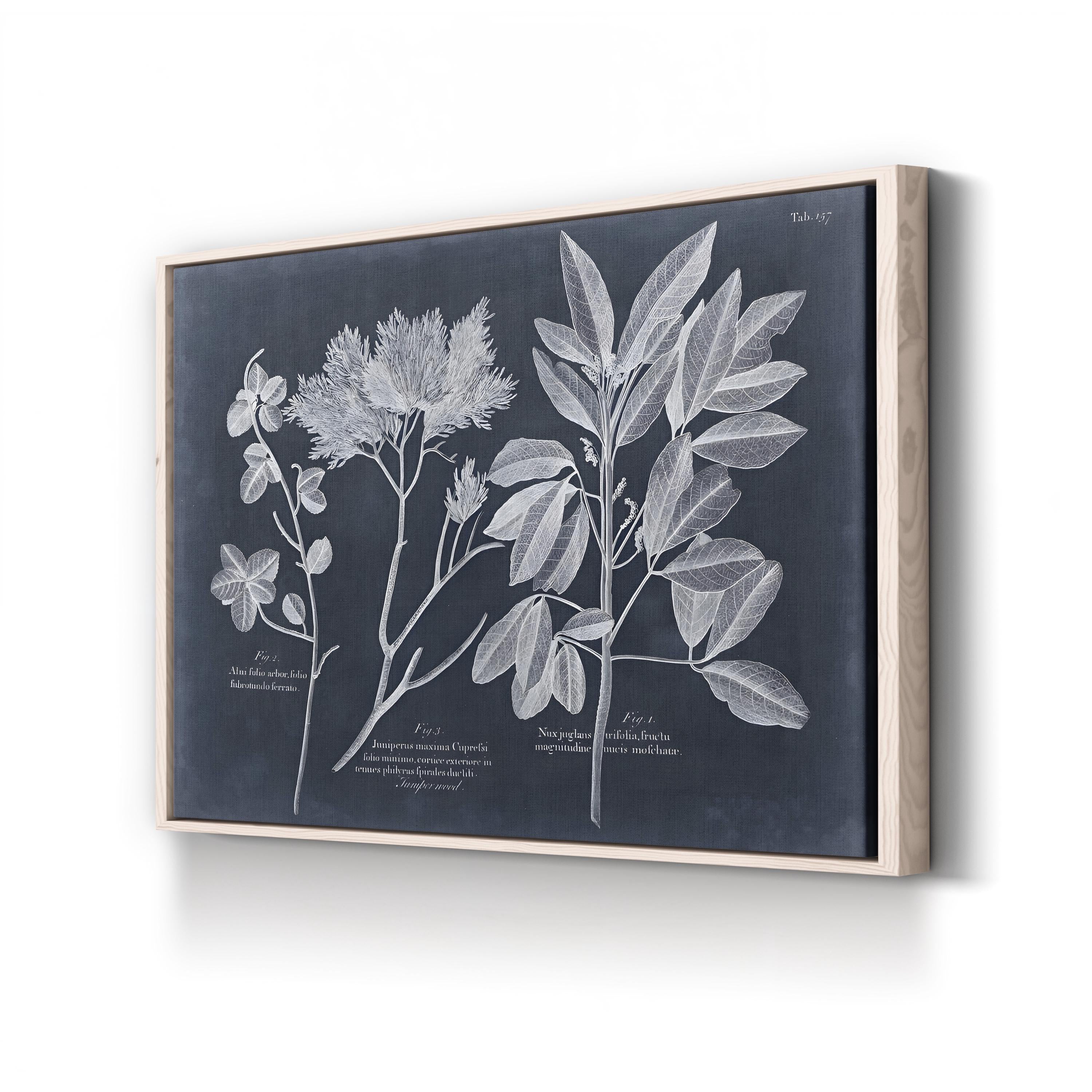 Foliage on Navy VI Wall Art — Vision Studio Vintage Botanical Illustration