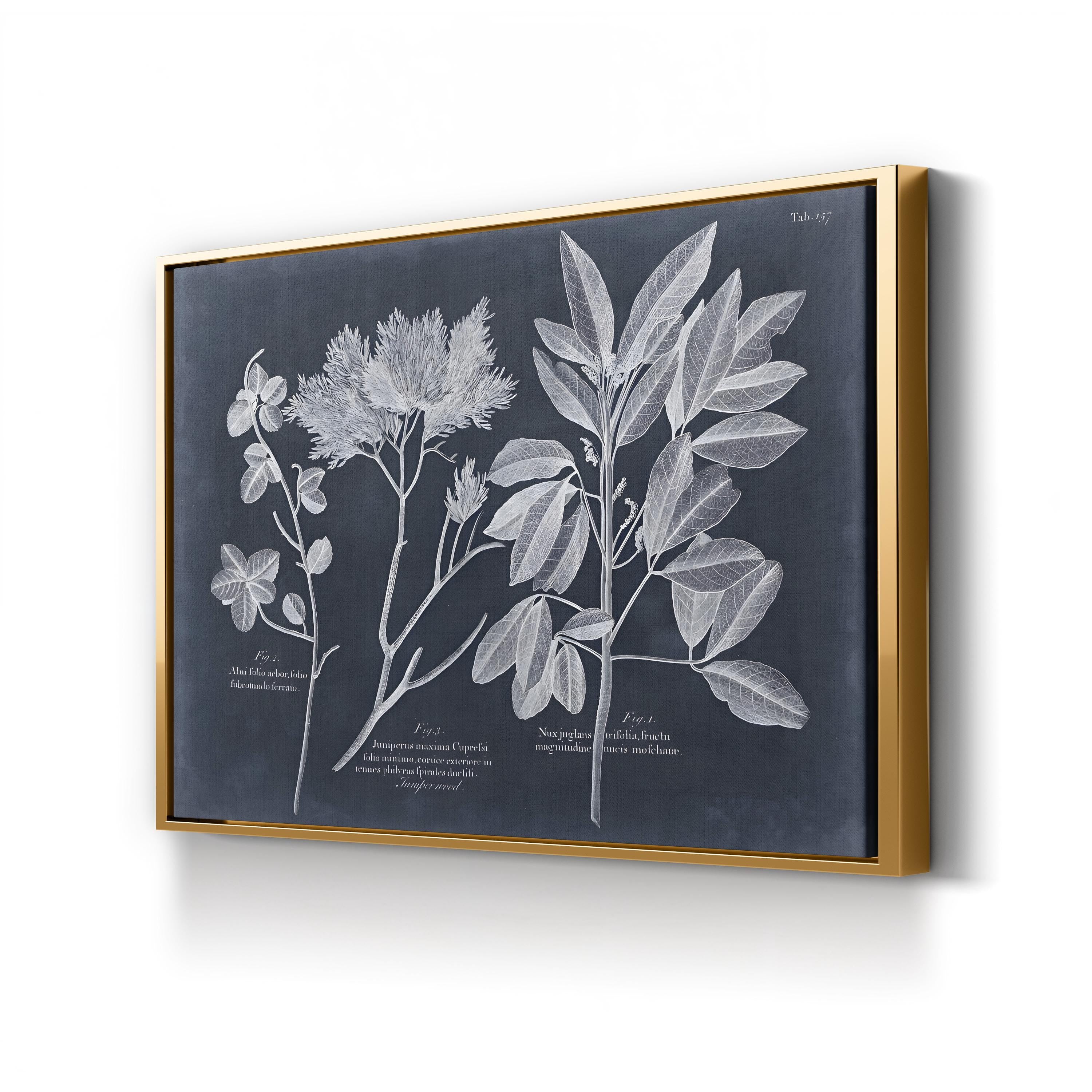 Foliage on Navy VI Wall Art — Vision Studio Vintage Botanical Illustration