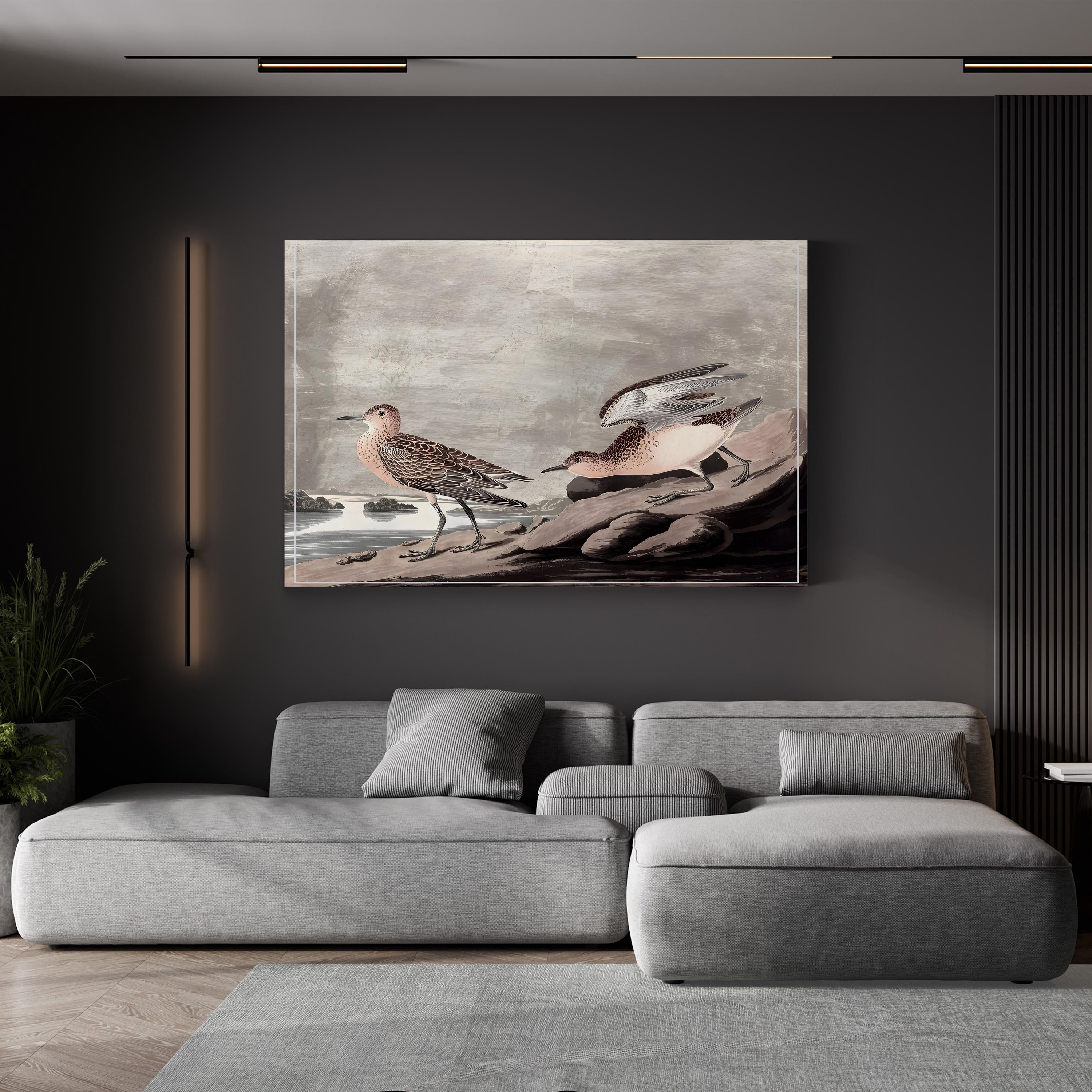 Vintage Audubon Bird Print: Coastal Wildlife Illustration