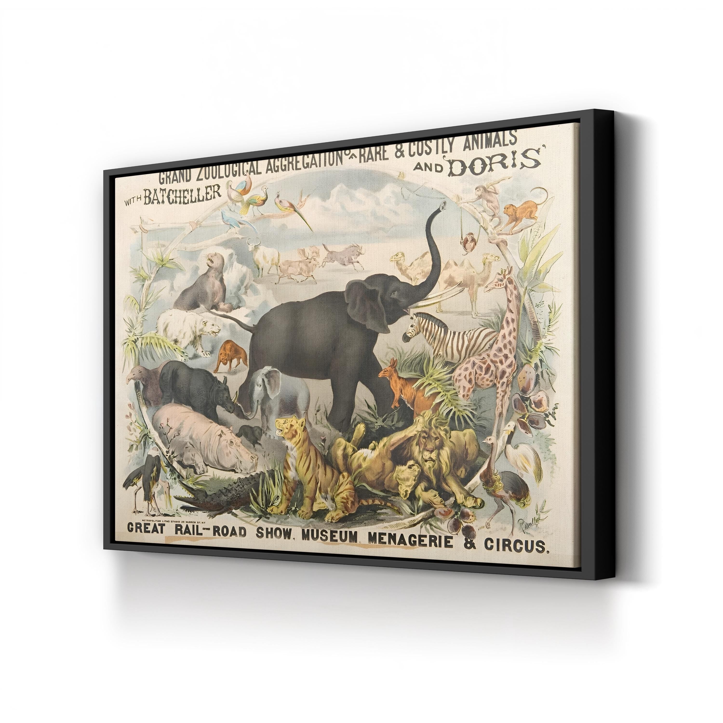 Vintage Zoological Animals – Period Illustration Wall Art | Museum Canvas Print