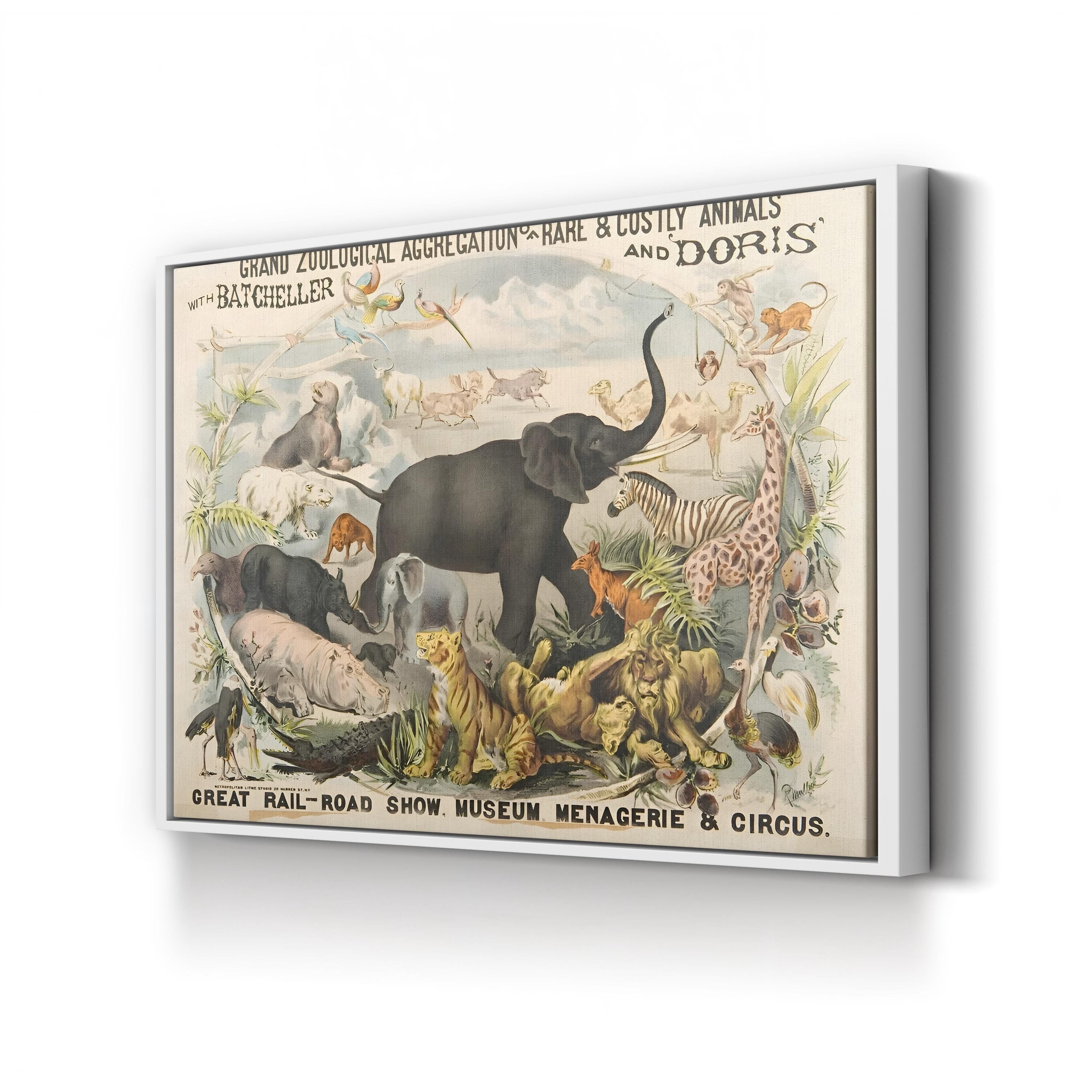Vintage Zoological Animals – Period Illustration Wall Art | Museum Canvas Print
