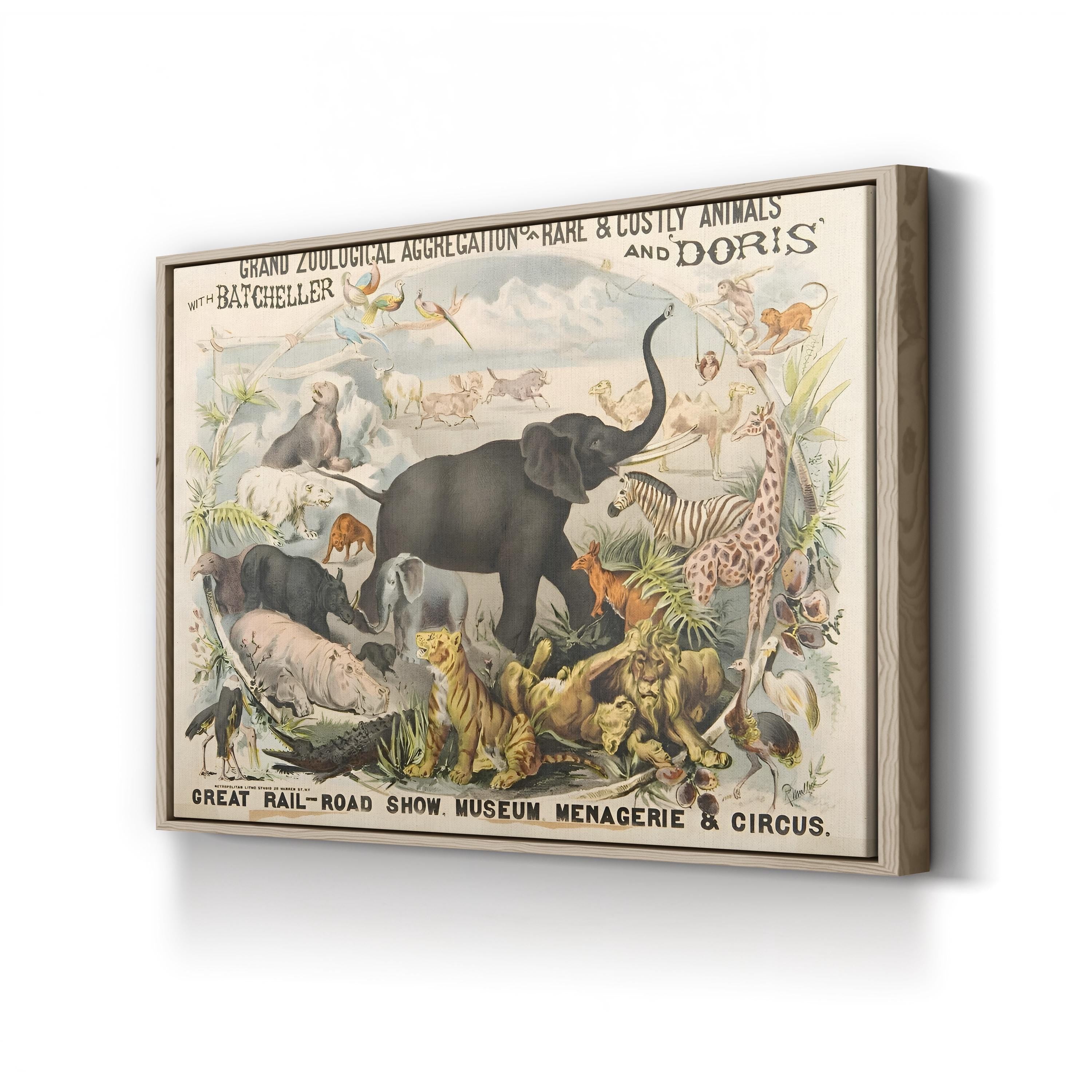 Vintage Zoological Animals – Period Illustration Wall Art | Museum Canvas Print