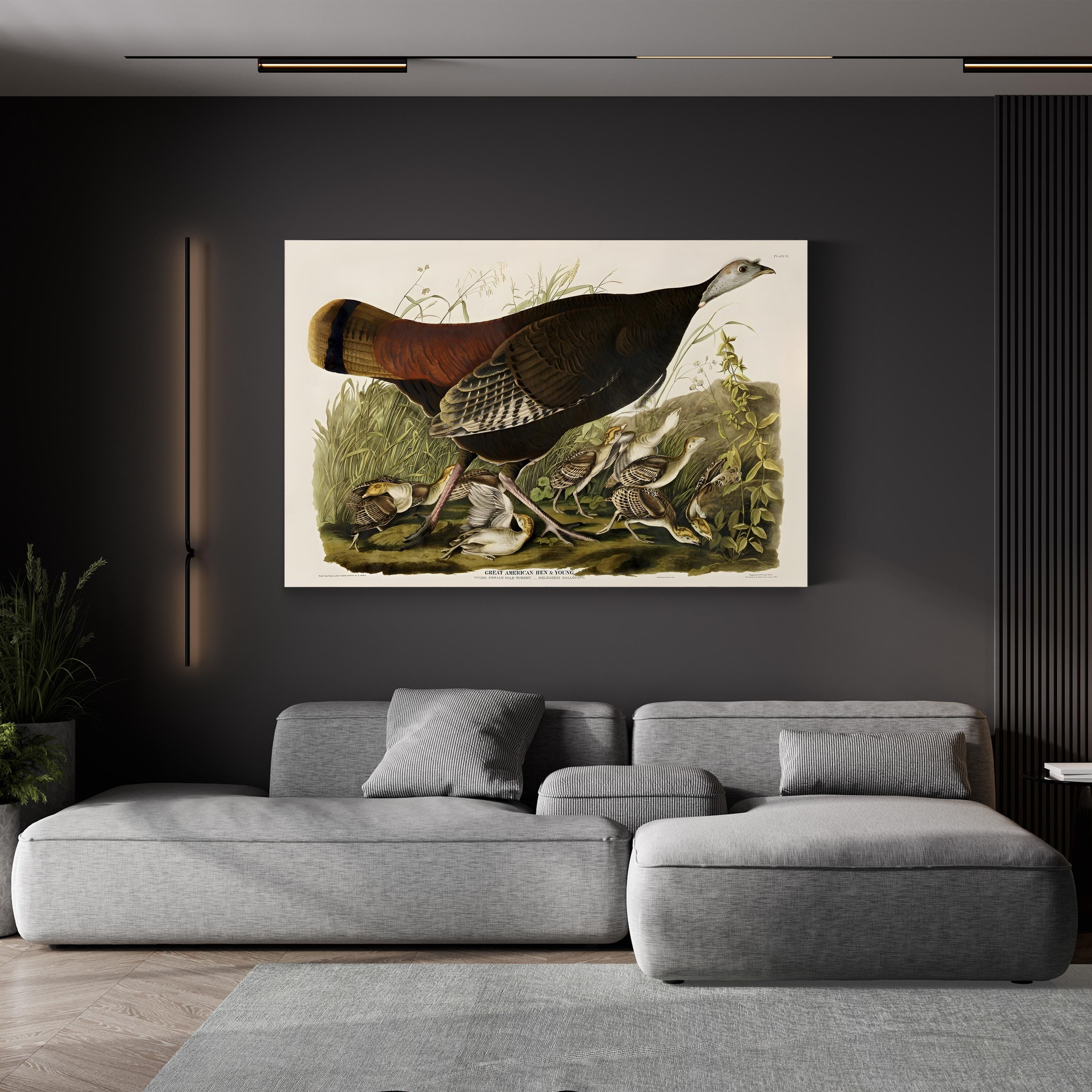 Vintage American Pheasant – Period Illustration Wall Art | Wildlife Canvas Print