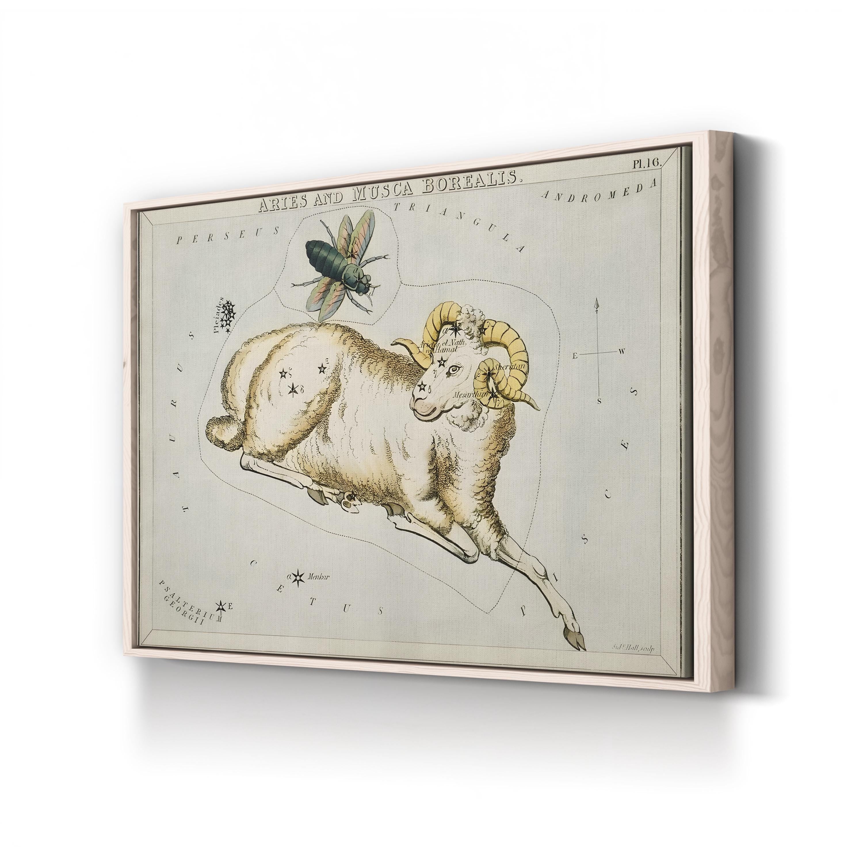 Hall’s Astronomical Illustrations I Wall Art – Aries & Musca Borealis Vintage Star Map Print